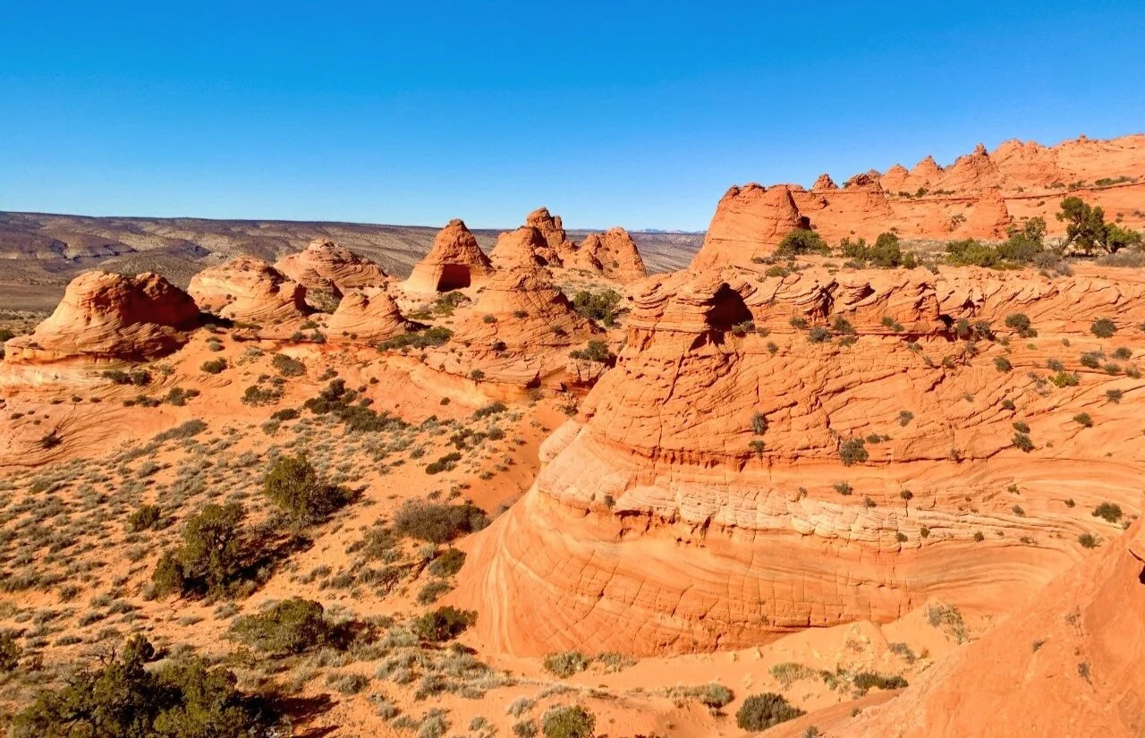 Birds Eye View of Rainbow Cove - Coyote Buttes South
