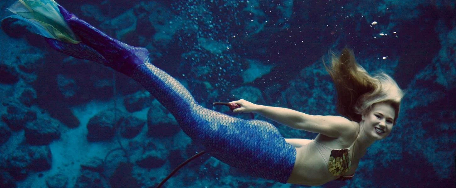   Legendary mermaids at Weeki Wachee  