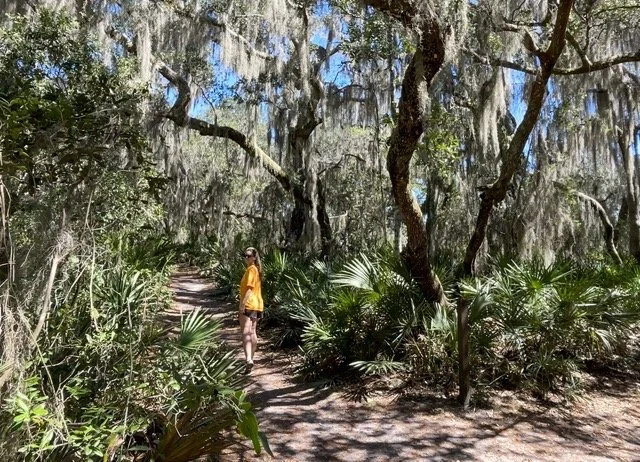   Lake George Trail at Silver Glen Springs  