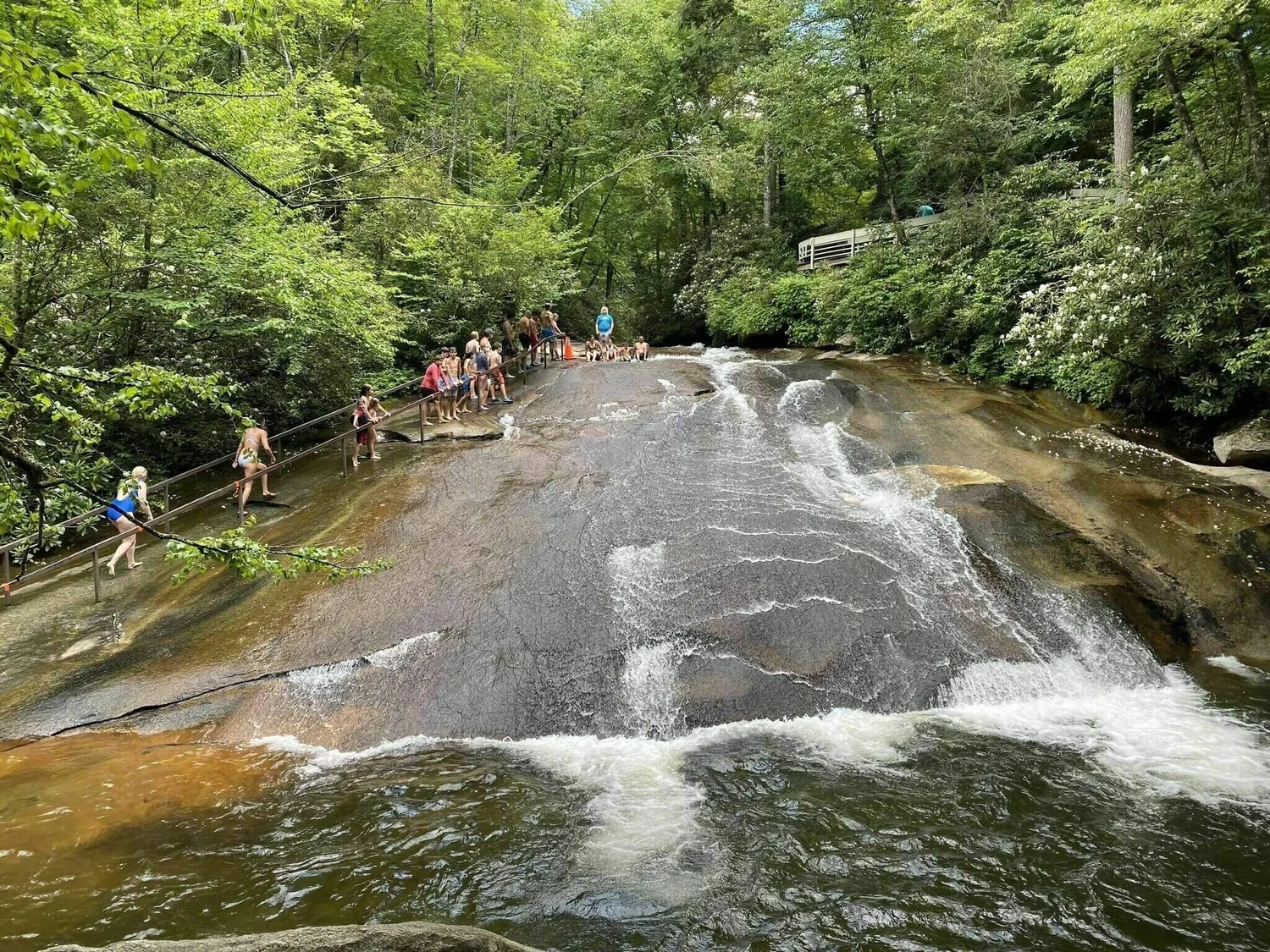 Fun Things to Do in Brevard NC for Outdoorsy People — Nomads in Nature