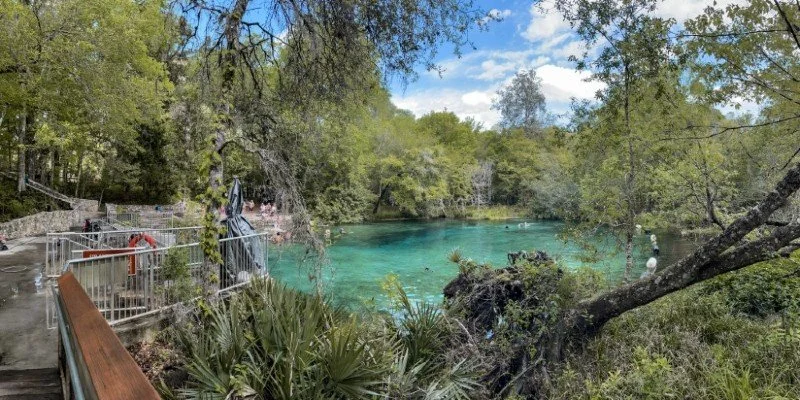   Ichetucknee Springs Swimming Area  