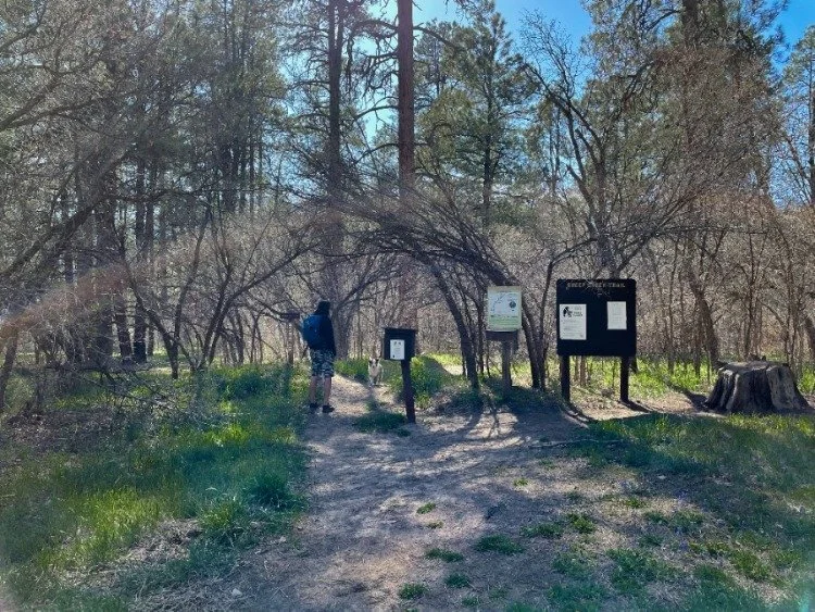   The trailhead for Piedra River Hot Springs [Sheep Creek Hot Springs].  