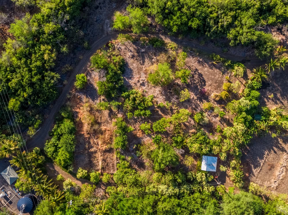 History of Kipuka Olowalu — Kipuka Olowalu