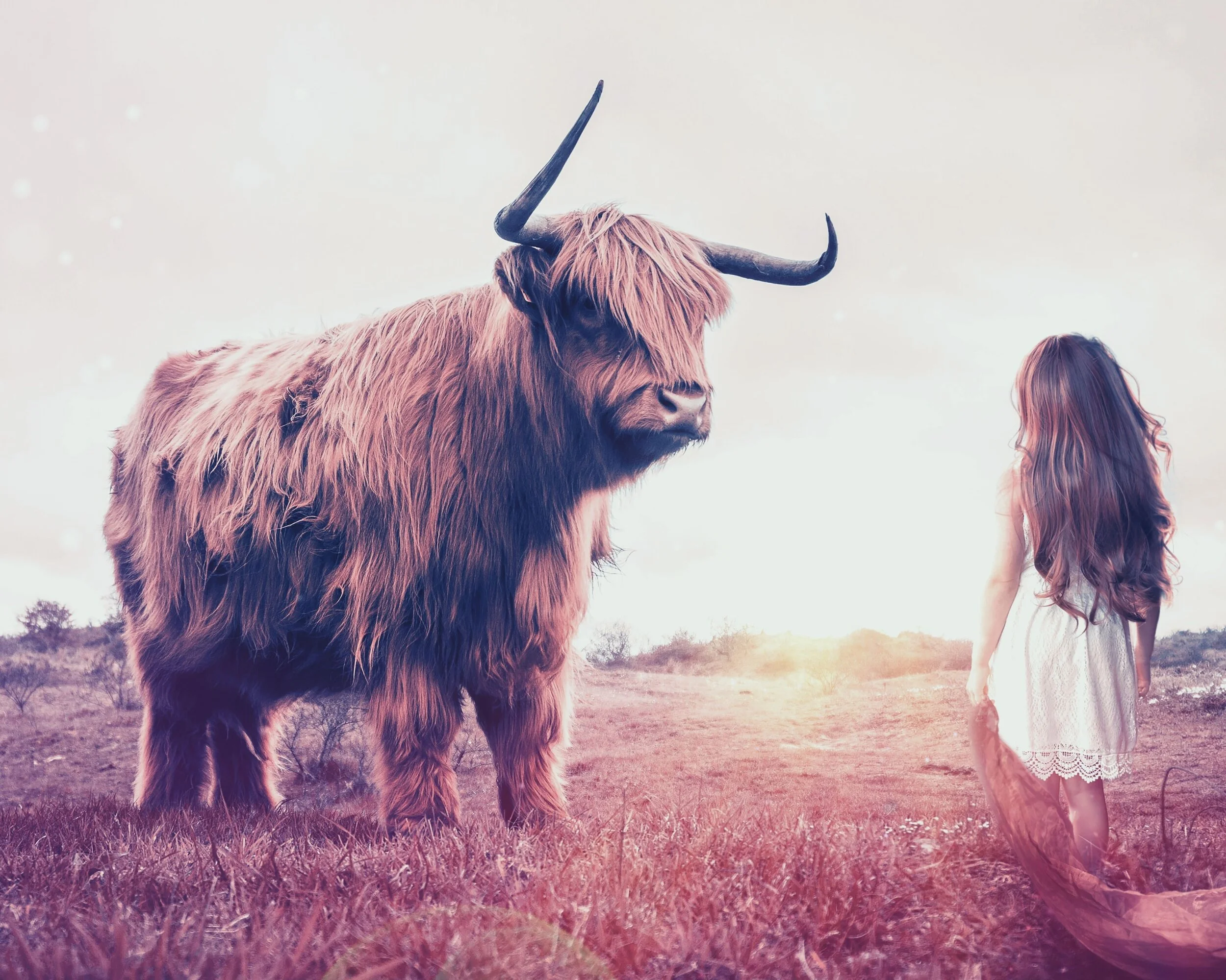 Taurus Season: Remembering Our Innate Worth