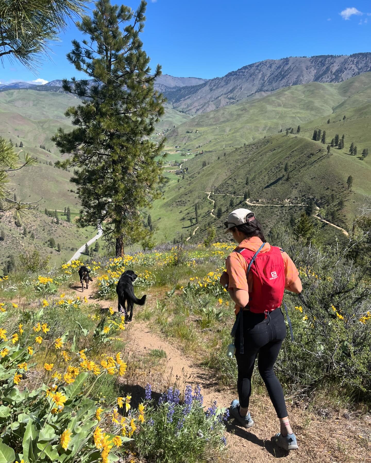 Here comes the weekend! What adventures do you have planned? Wild flower viewing? Whitewater paddling? Mountain biking? Whatever you get up to, we hope you can take advantage of all that spring has to offer in North Central Washington!

#colchuckcons