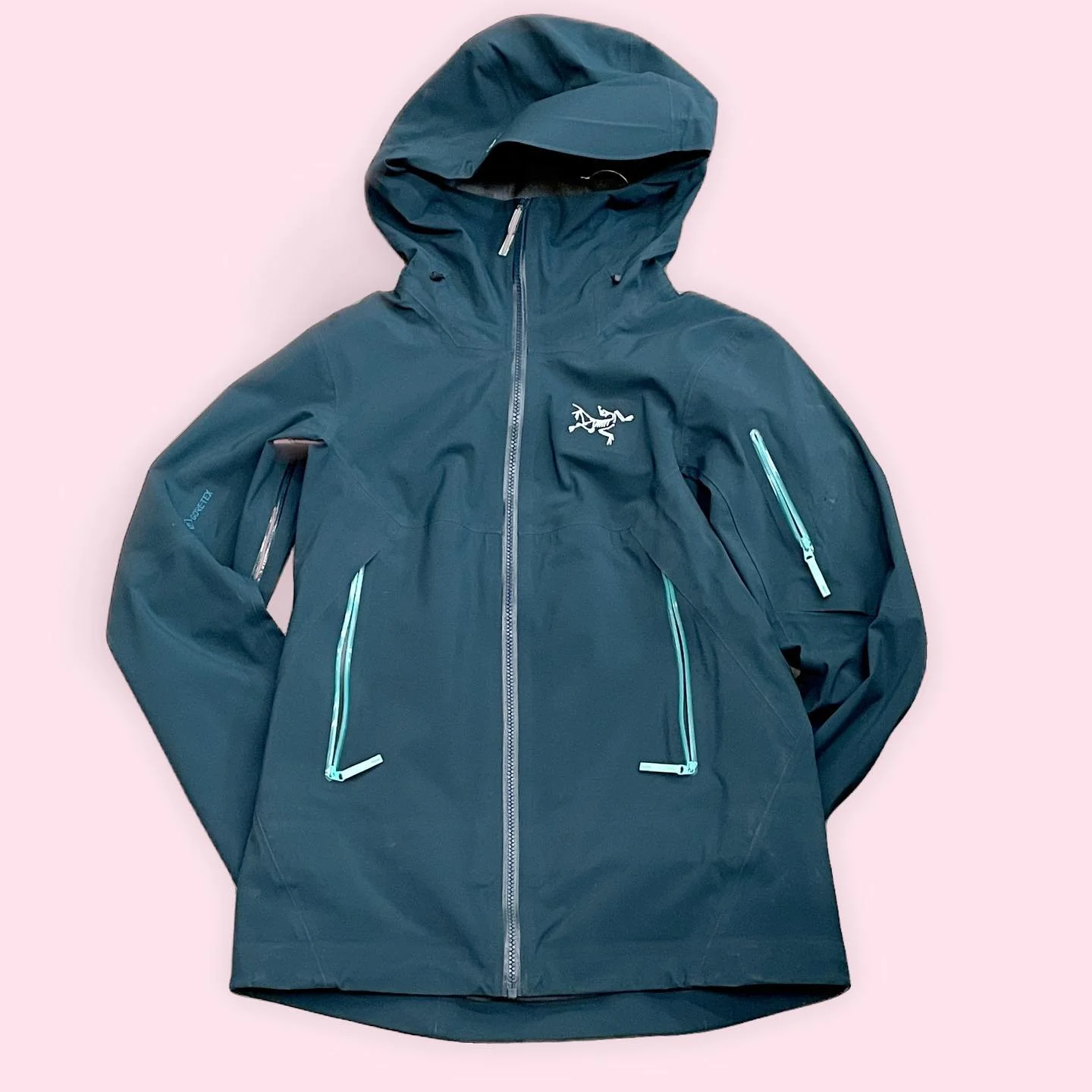 Let's be real, my love for technical fabrics usually breaks the bank, but not with this steal! 

Arc&rsquo;Teryx Sentinel Snow Shell - Size: XS 

MSRP: $750 
CC: $235