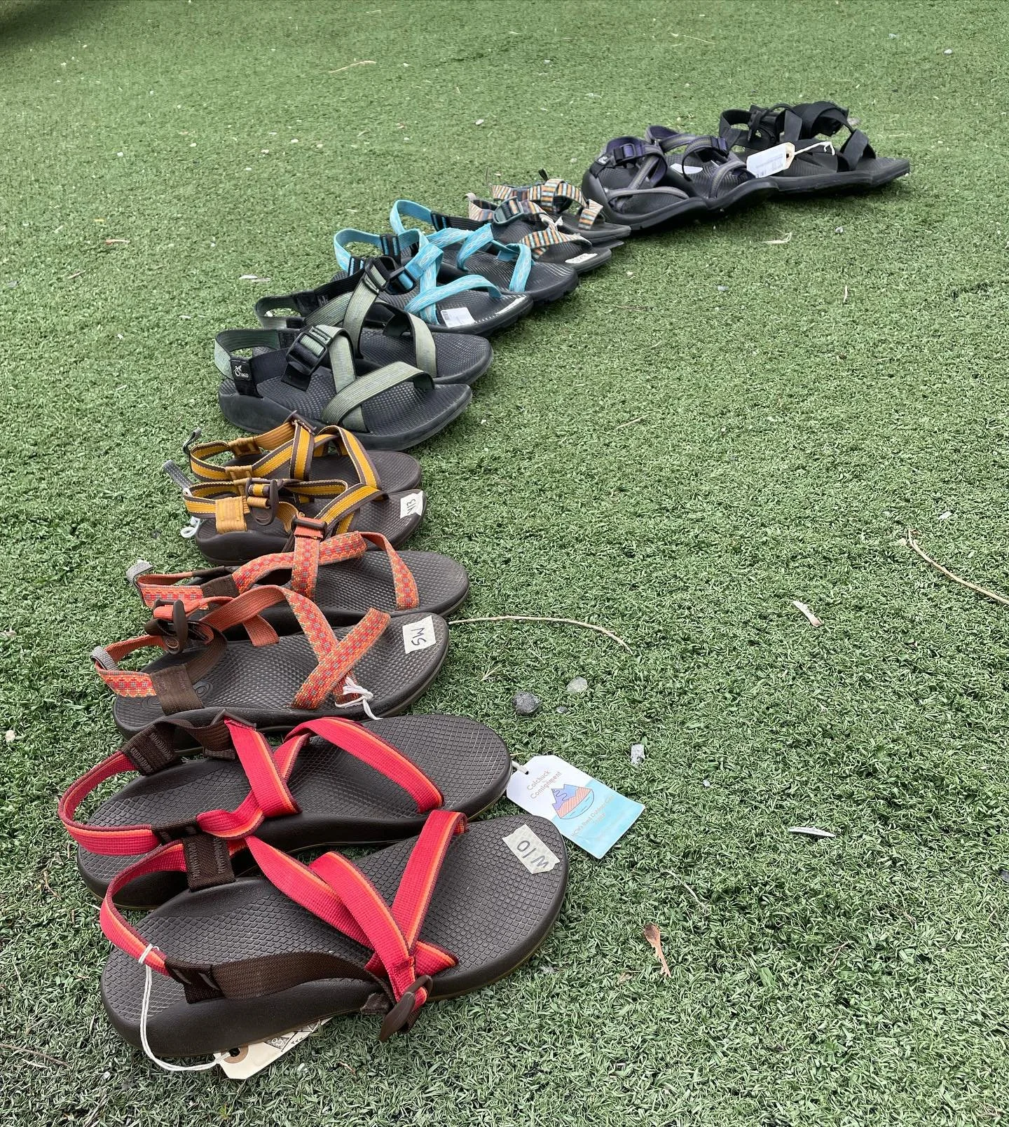 It&rsquo;s a Chaco Rainbow!

MSRP: ~$105
CC: ~$30