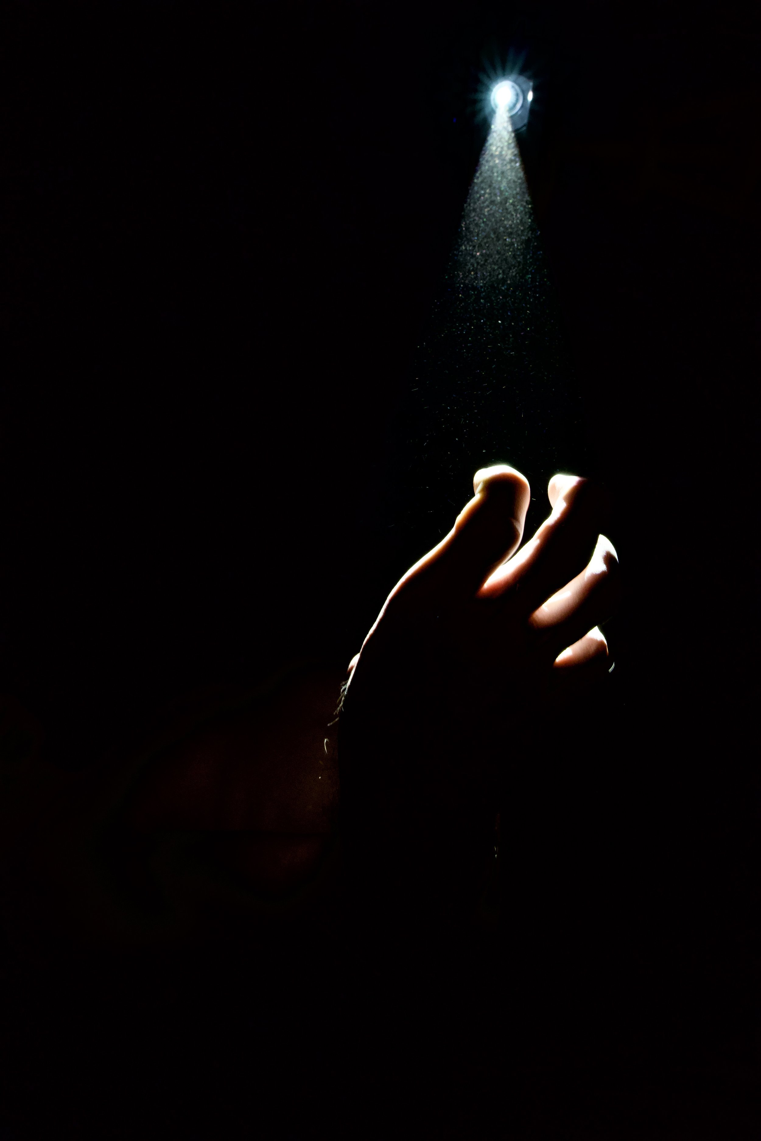 DSC08347.jpeg