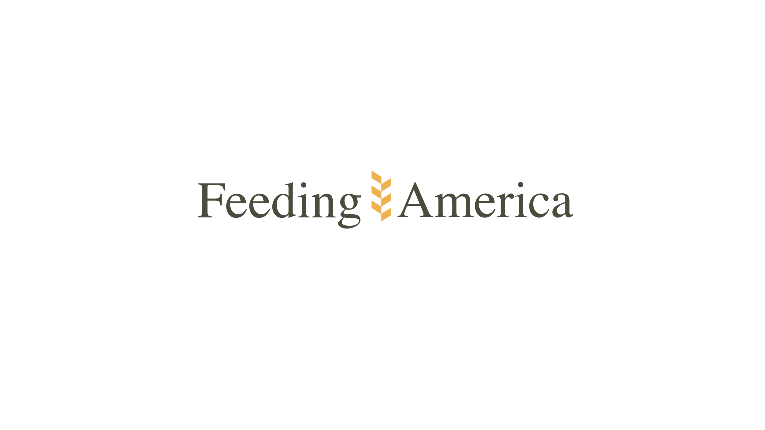 Feeding America Duo Xu