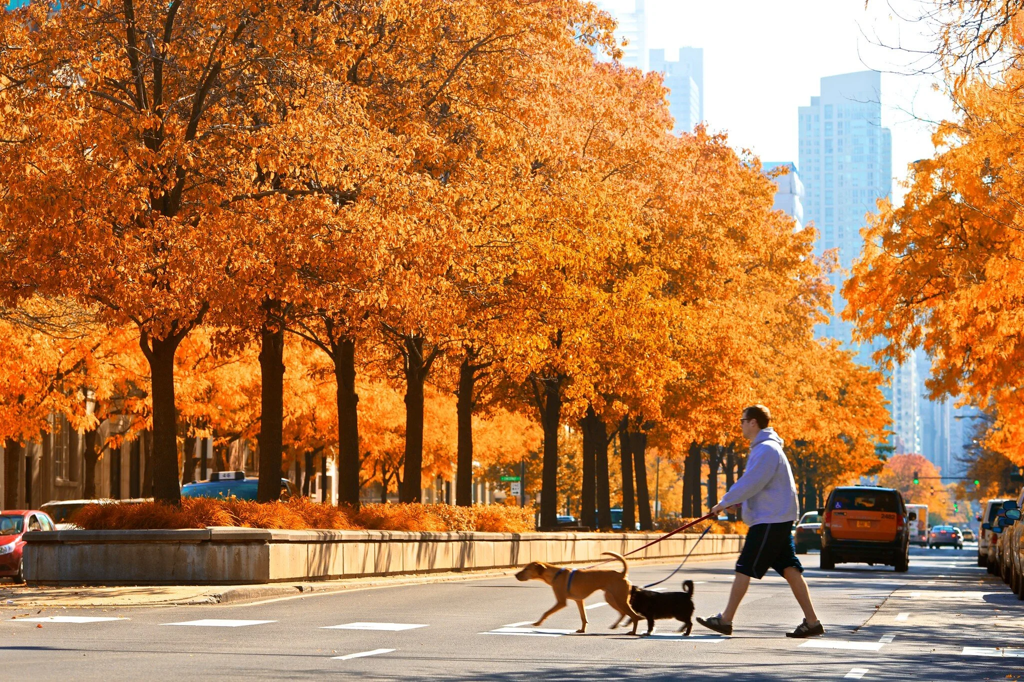 OCTOBER 2021 MARKET ANALYSIS FOR CHICAGO'S NORTH SIDE