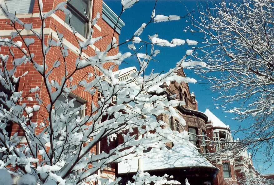 JANUARY 2026 MARKET ANALYSIS FOR CHICAGO'S NORTH SIDE 