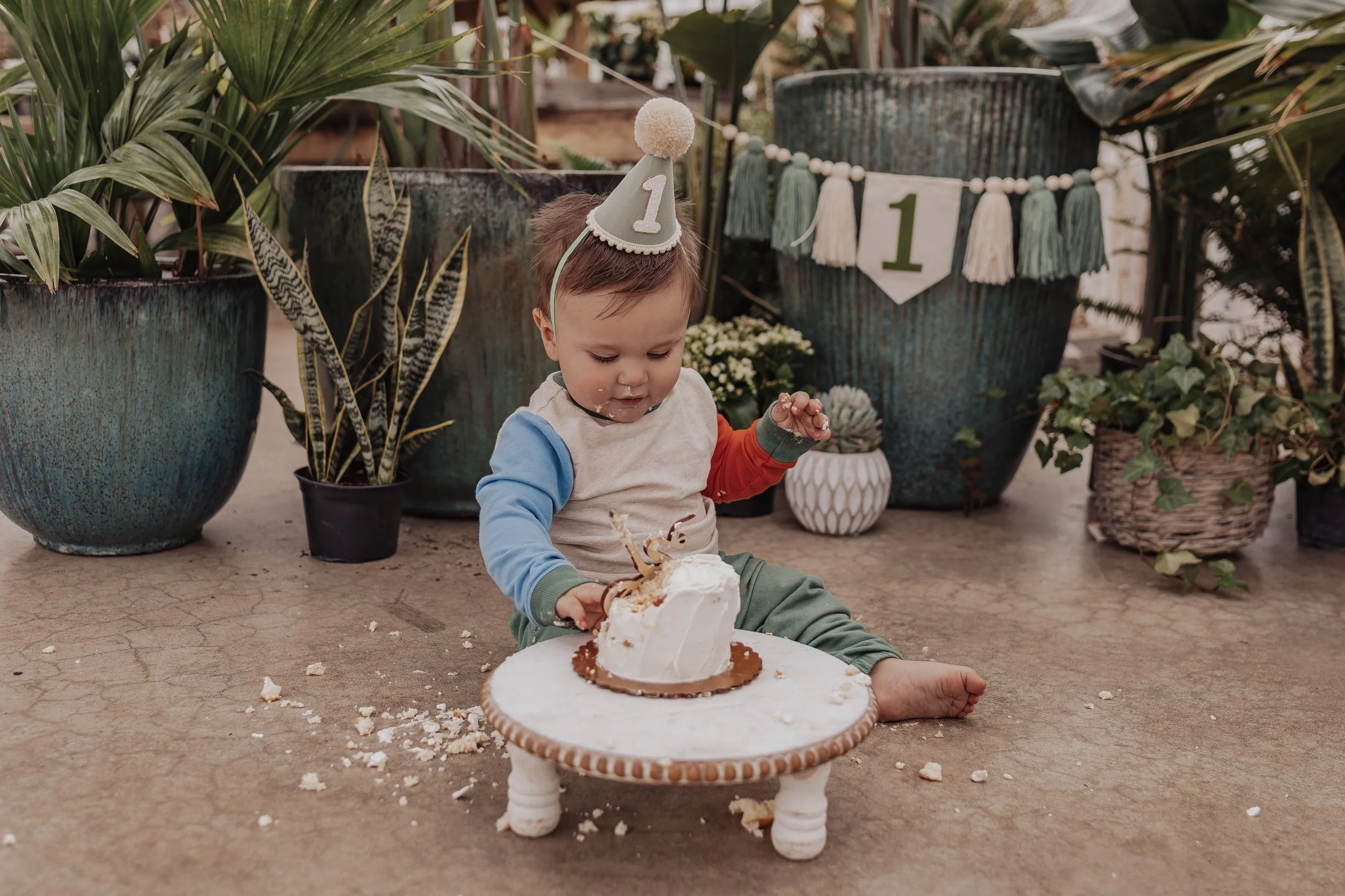 Milestone & Cake Smash Sessions