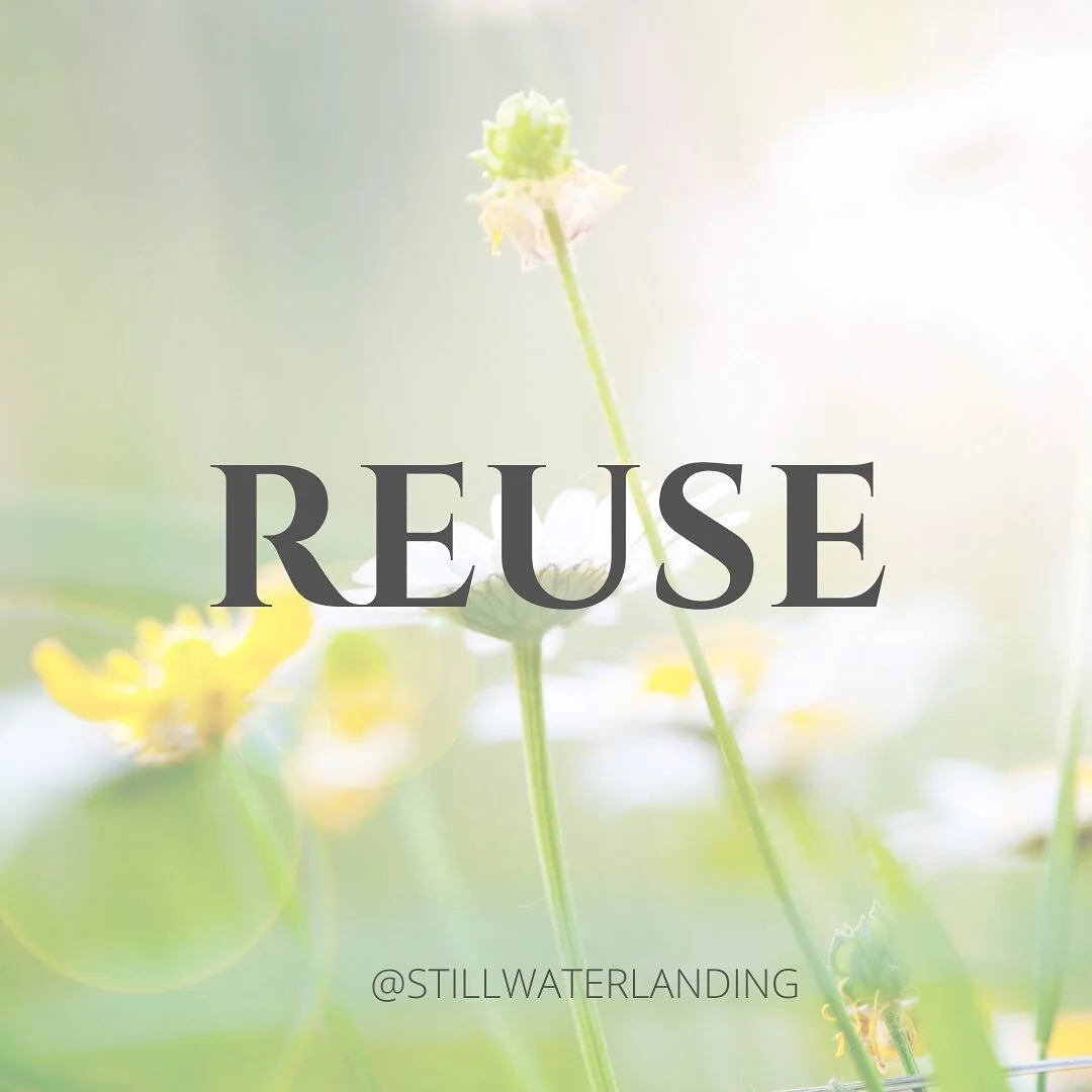 REUSE
&bull;&bull;&bull;&bull;&bull;&bull;&bull;
&ldquo;We can't achieve zero waste without reuse.&rdquo;
&mdash;MaryEllen Etienne