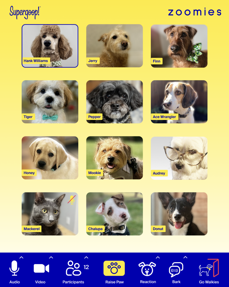 Screenshot 2025-09-11 at 10.15.56 AM.png