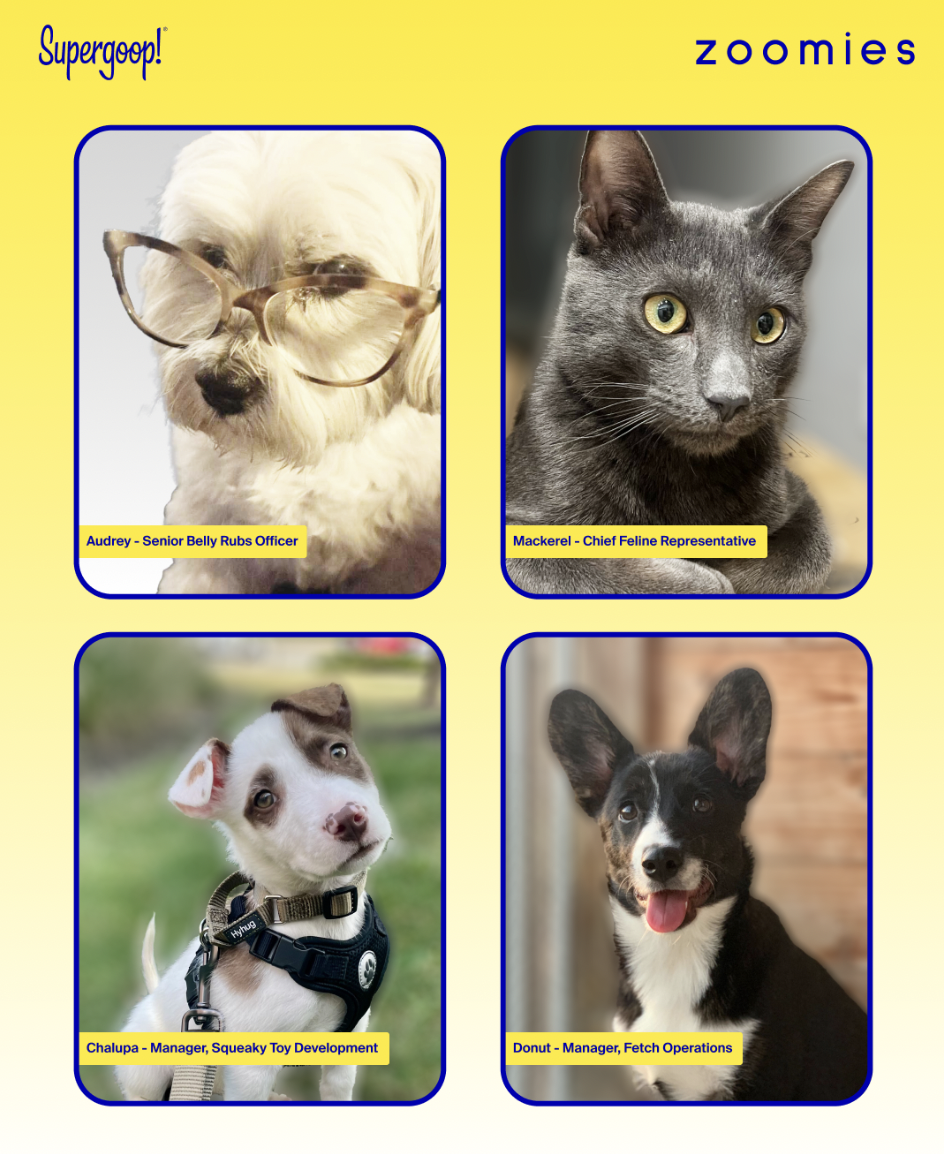 Screenshot 2025-09-11 at 10.16.30 AM.png