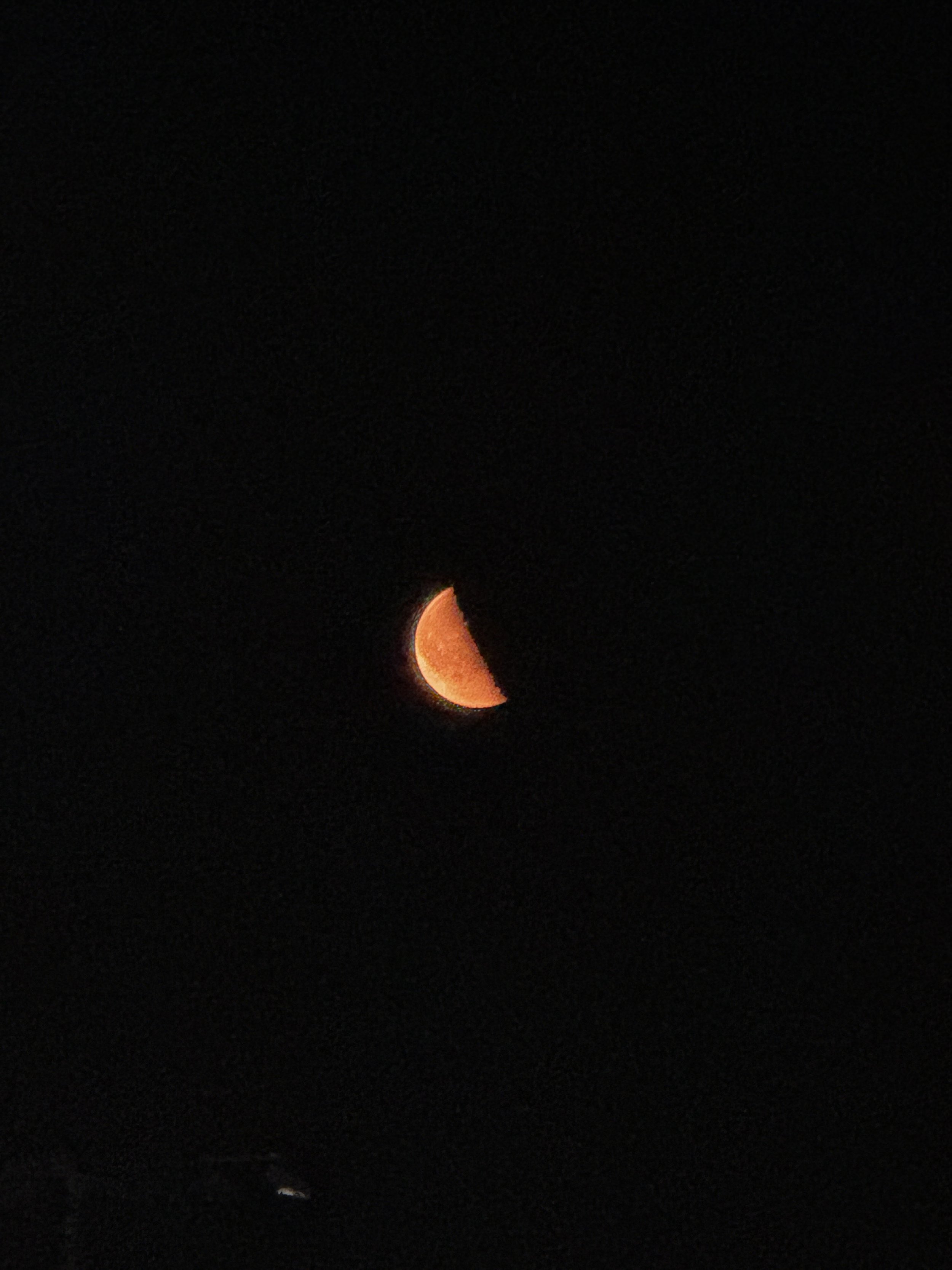 IMG_7711.jpeg