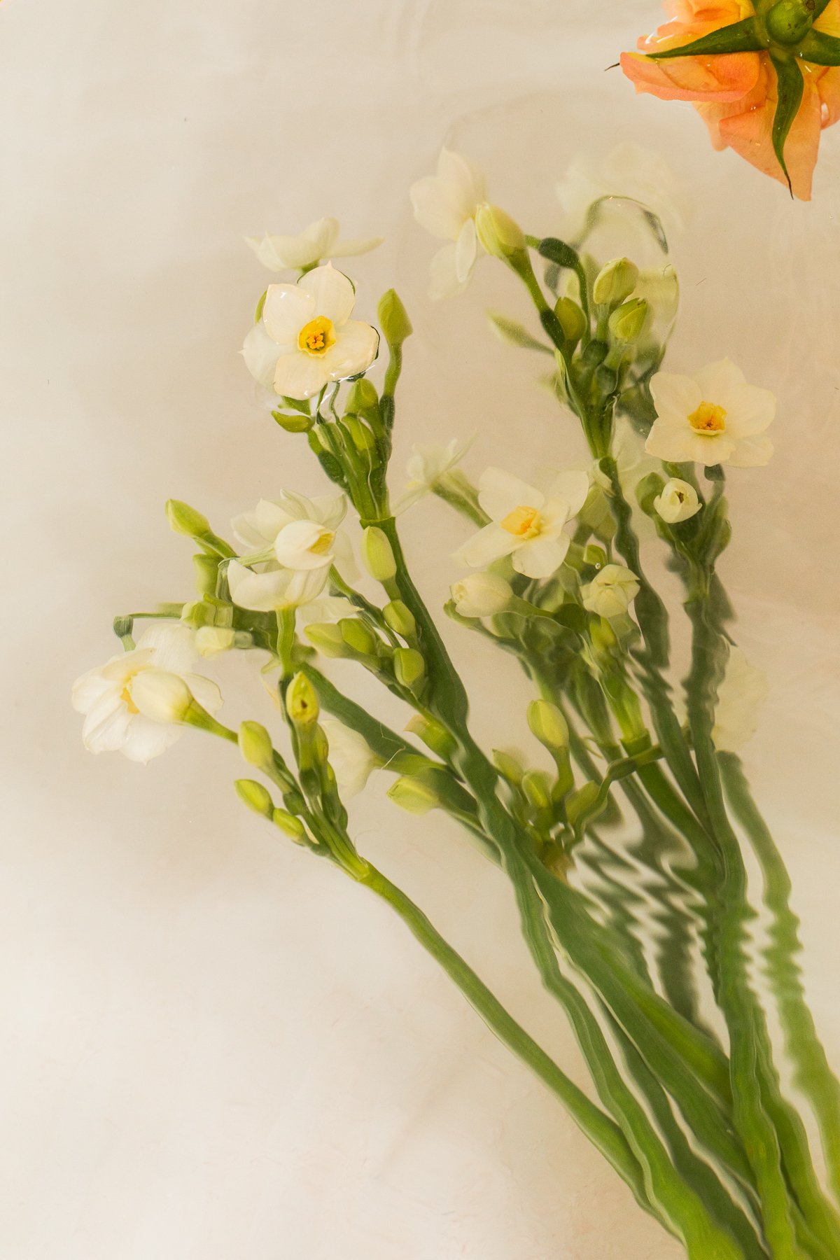 OM_12-10-25_LowRes-24 (1).jpg