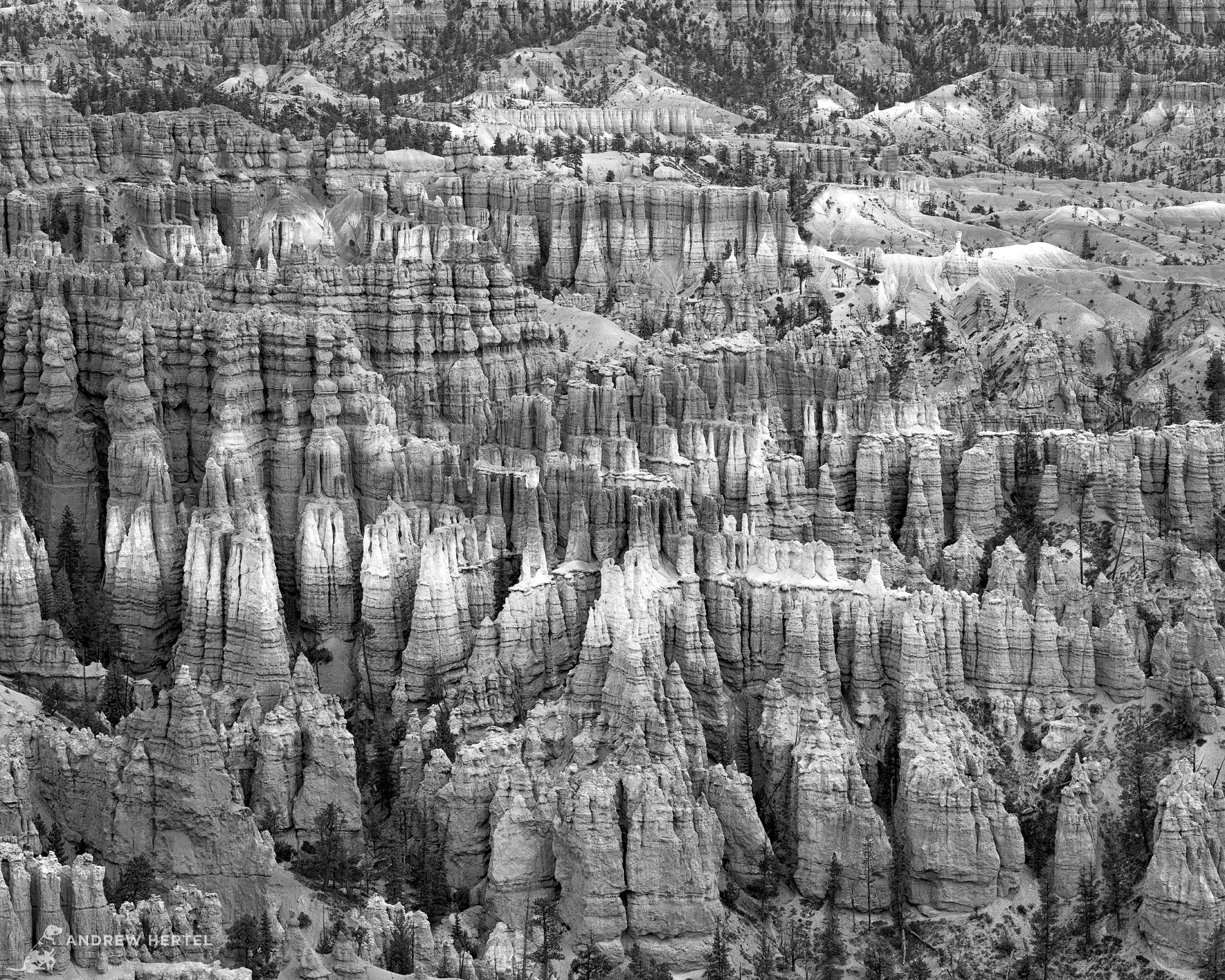 Utah Fall Trip-1289-Byrce-Canyon_WorkingNIKWEB.jpg