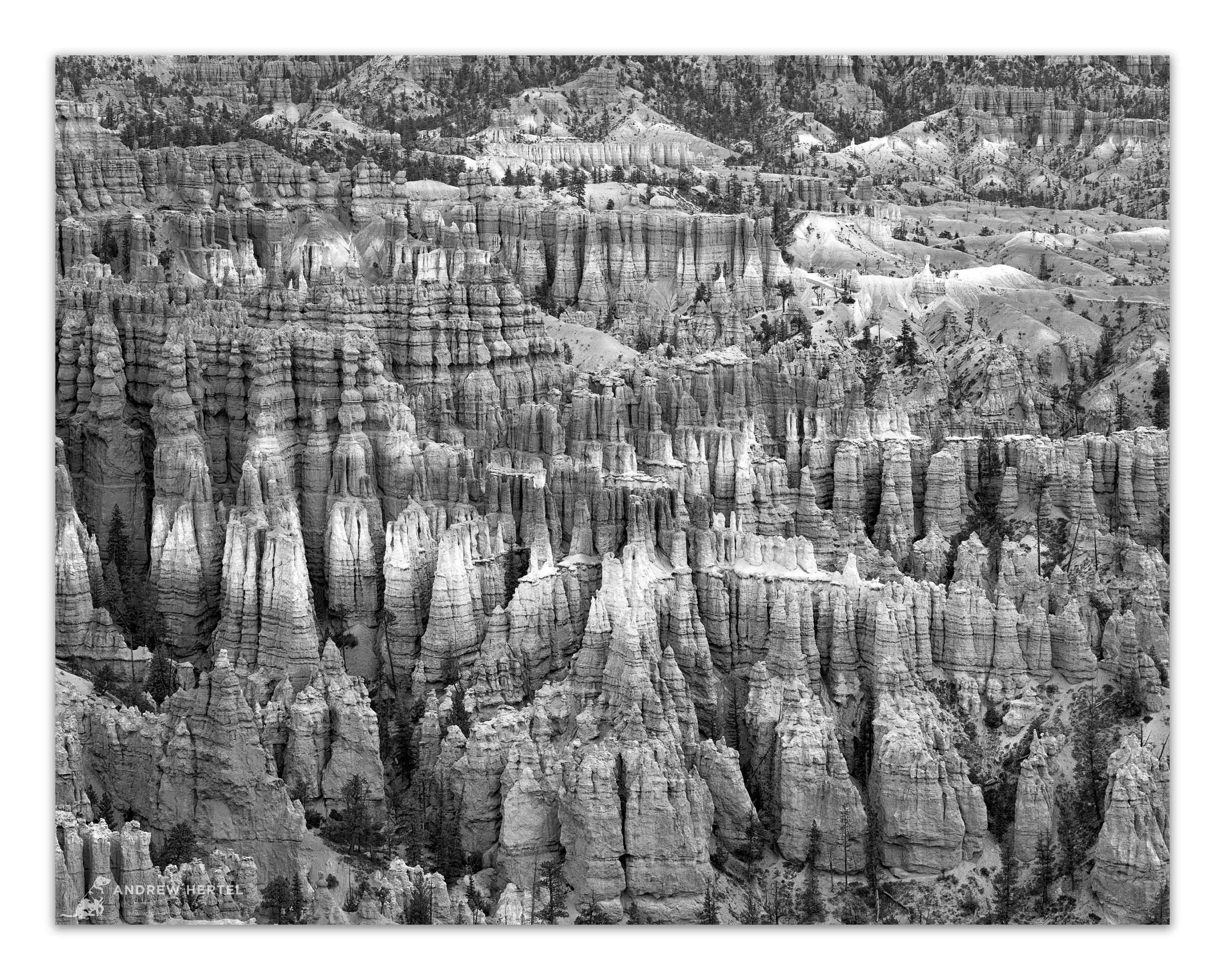 Utah Fall Trip-1289-Byrce-Canyon_WorkingWeb2.jpg