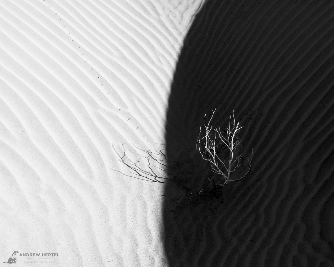Death Valley Feb 2023-3168-untitled-Edit_IG 4x5H_1080x864_U_100.jpg