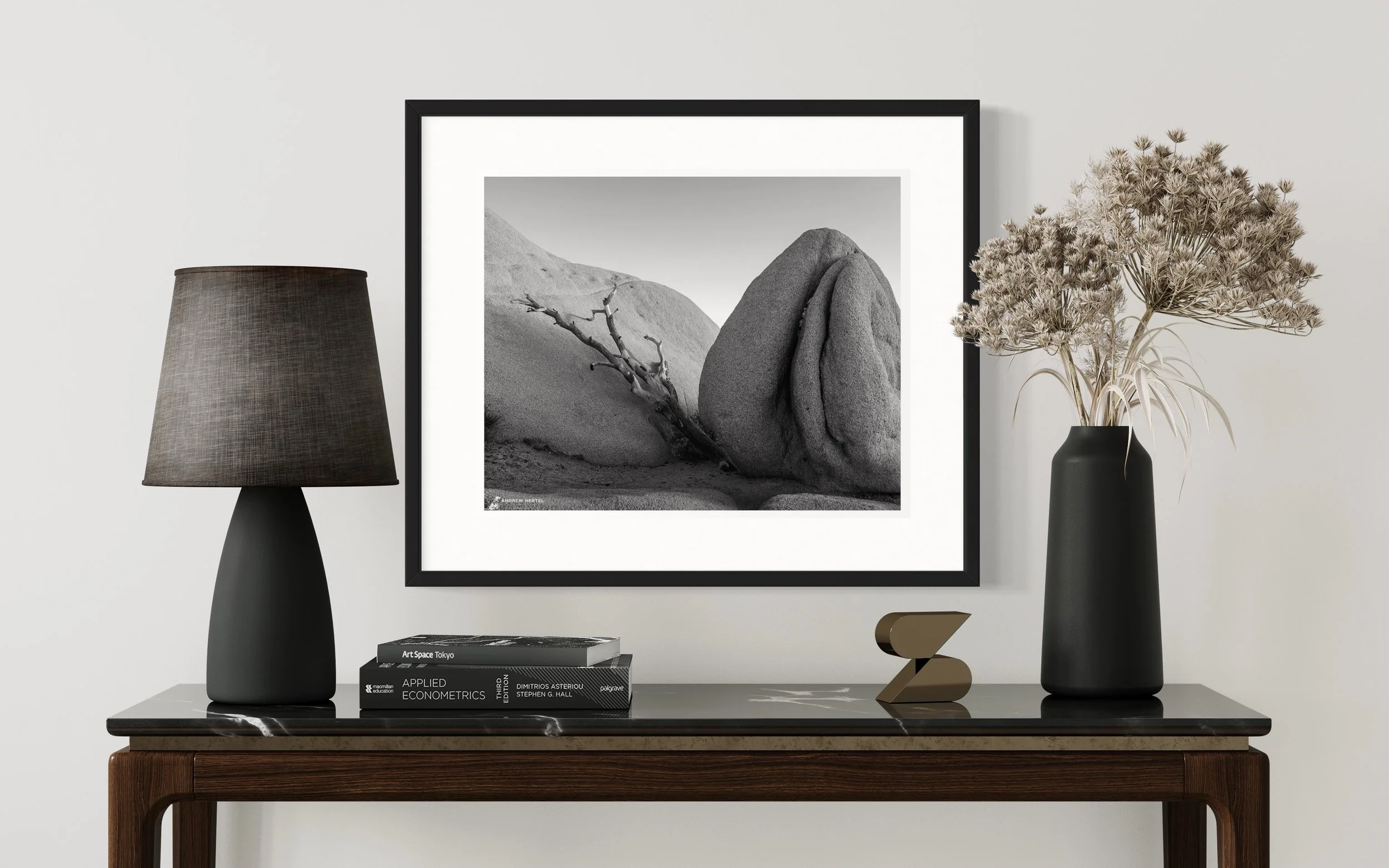 Andrew Hertel-Joshua Tree-Cradled By Stone-3564.JPG