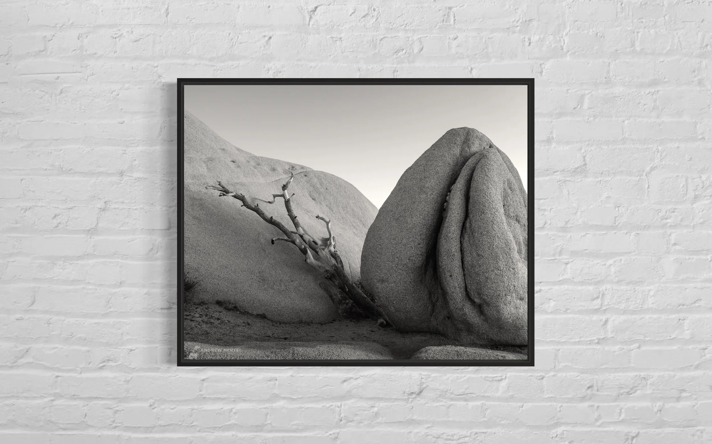 Andrew Hertel-Cradled By Stone-3.jpeg