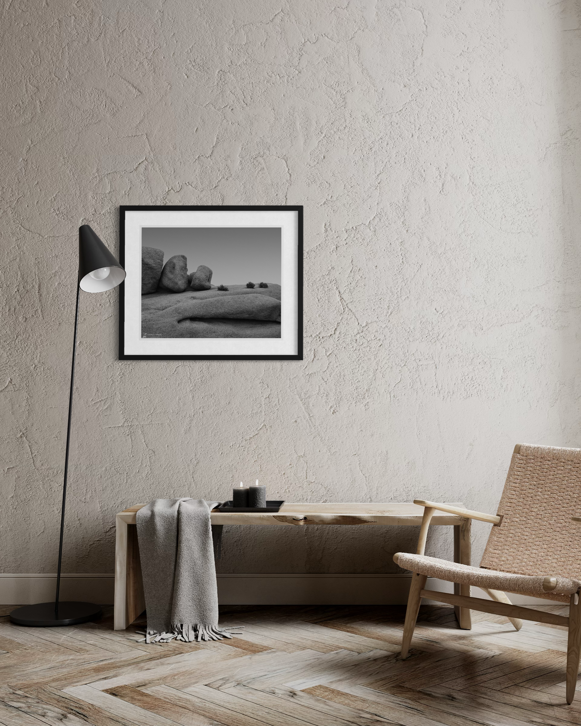 Andrew Hertel-Joshua Tree - Quiet Conversation-4957.PNG