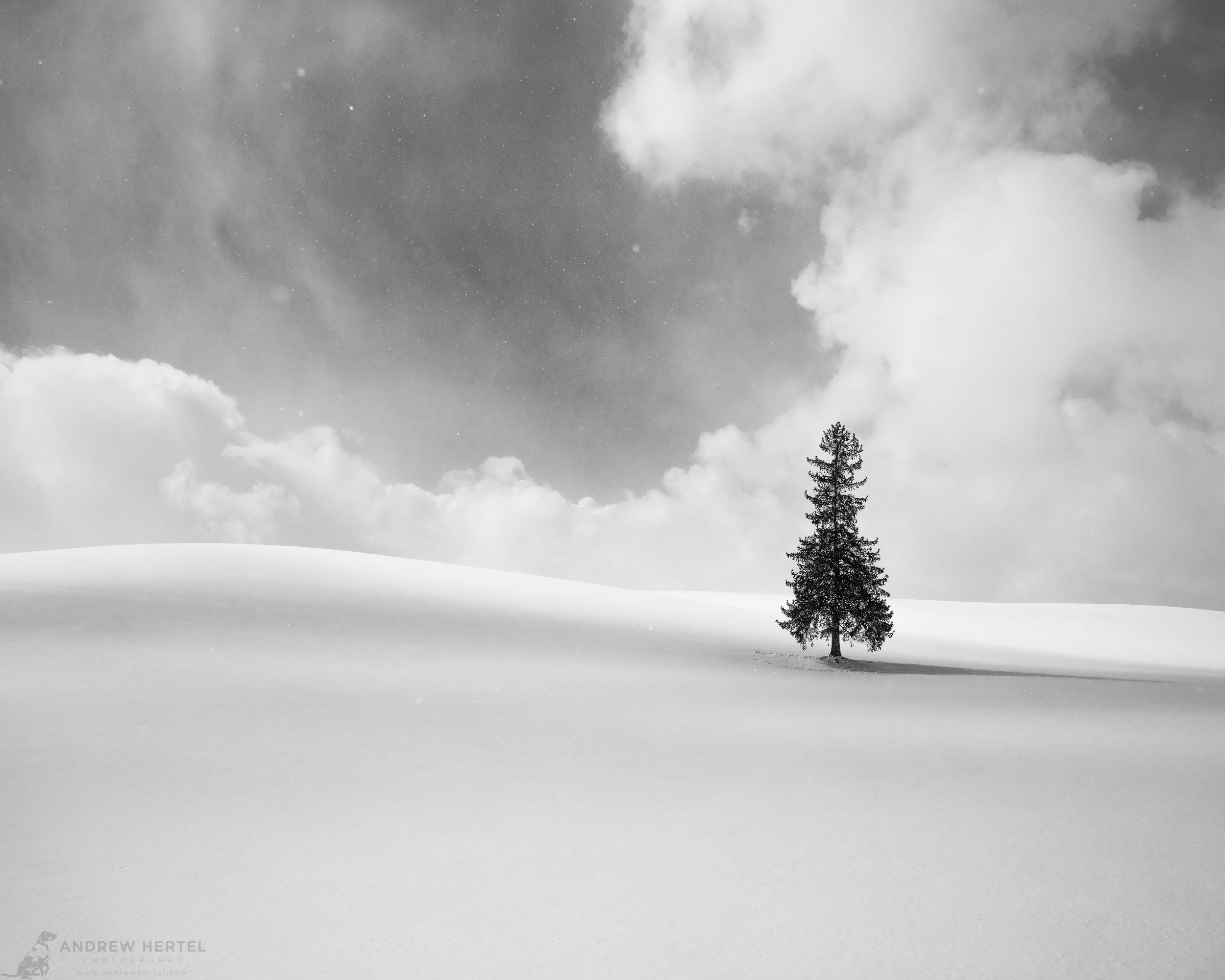 Hokkaido black and white winter photography by Andrew Hertel