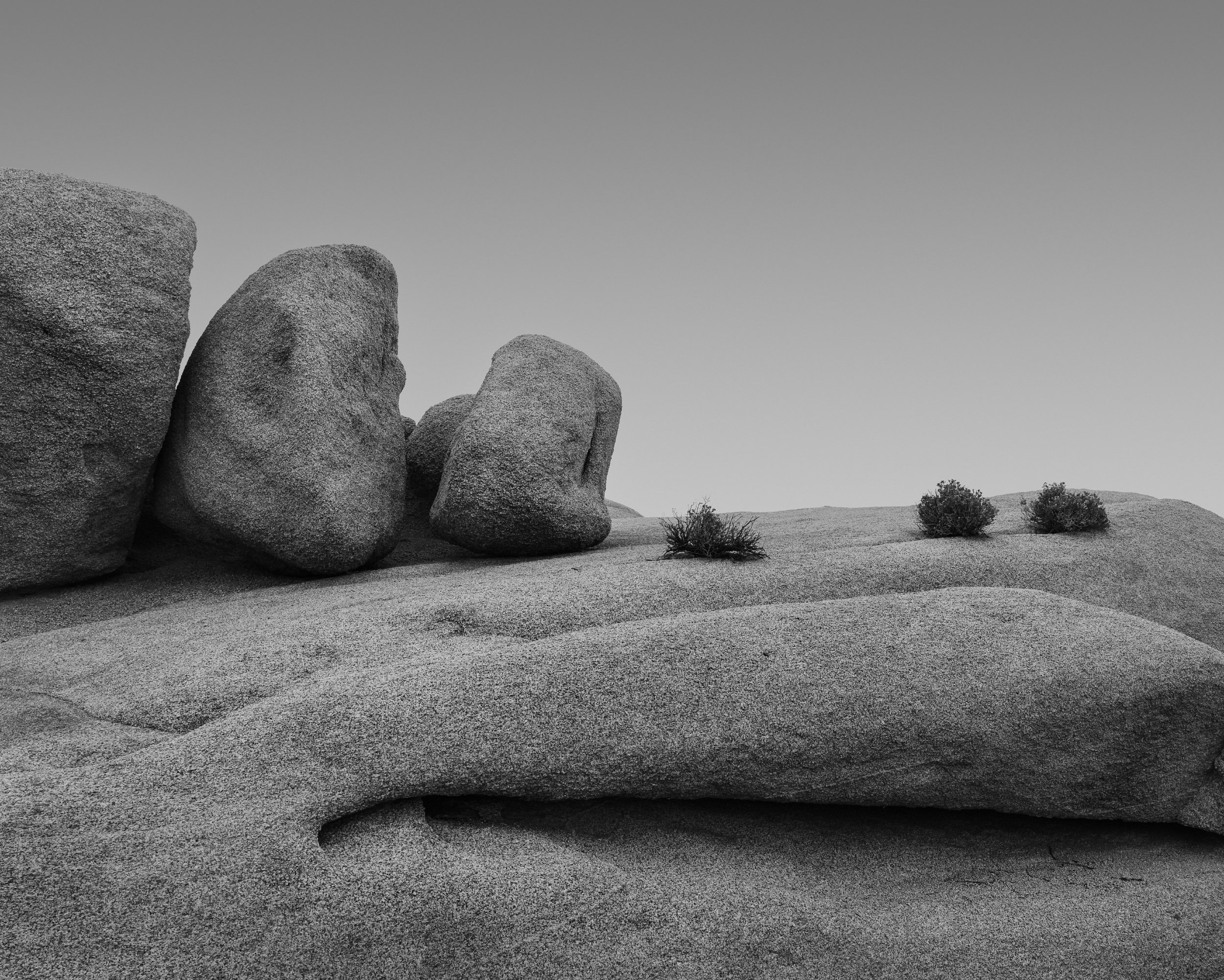 Quiet Conversation | Joshua Tree National Park