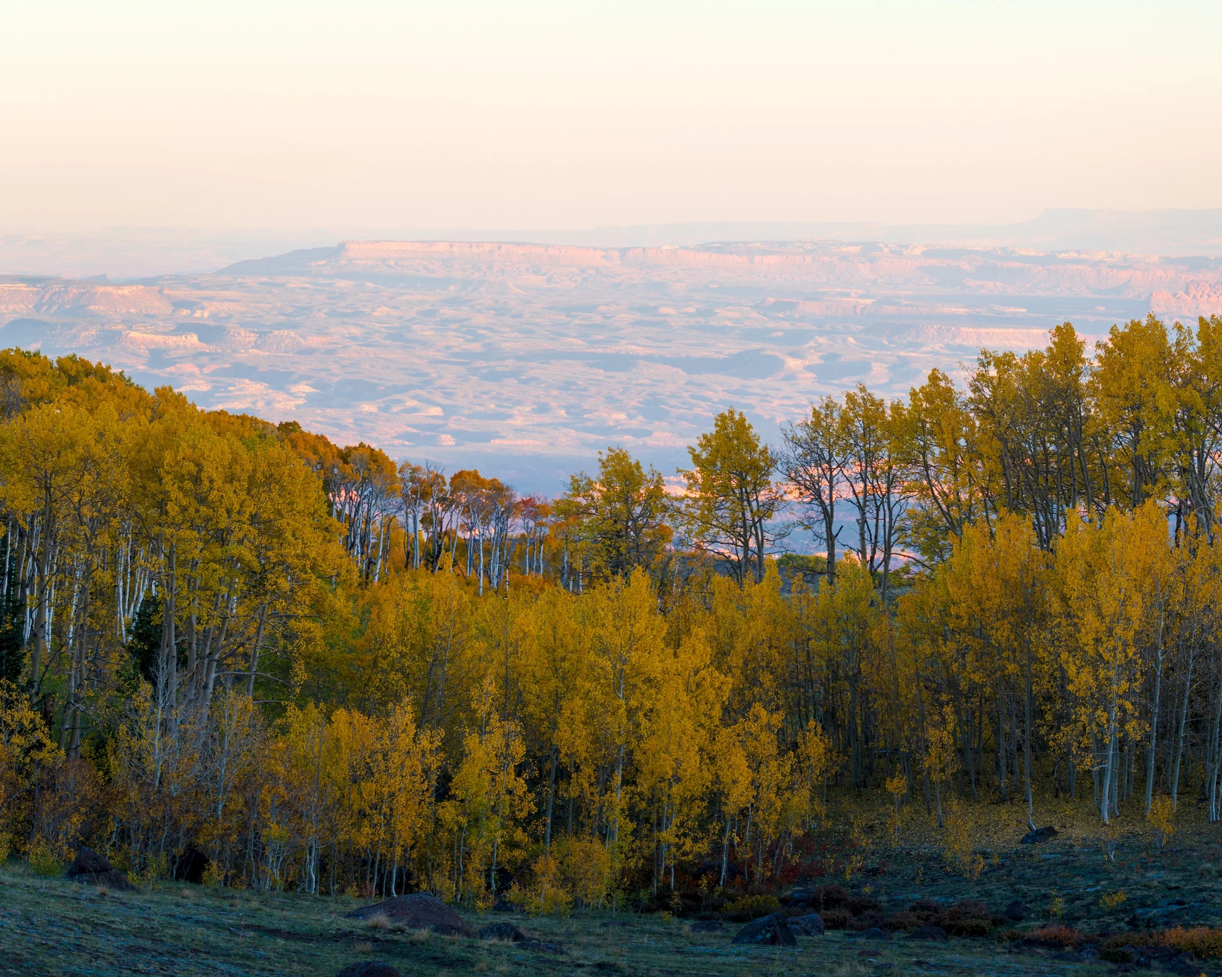 Andrew Hertel-Utah Fall 2025-8188-Working_Squarespace_2500x2000_U_100.jpg