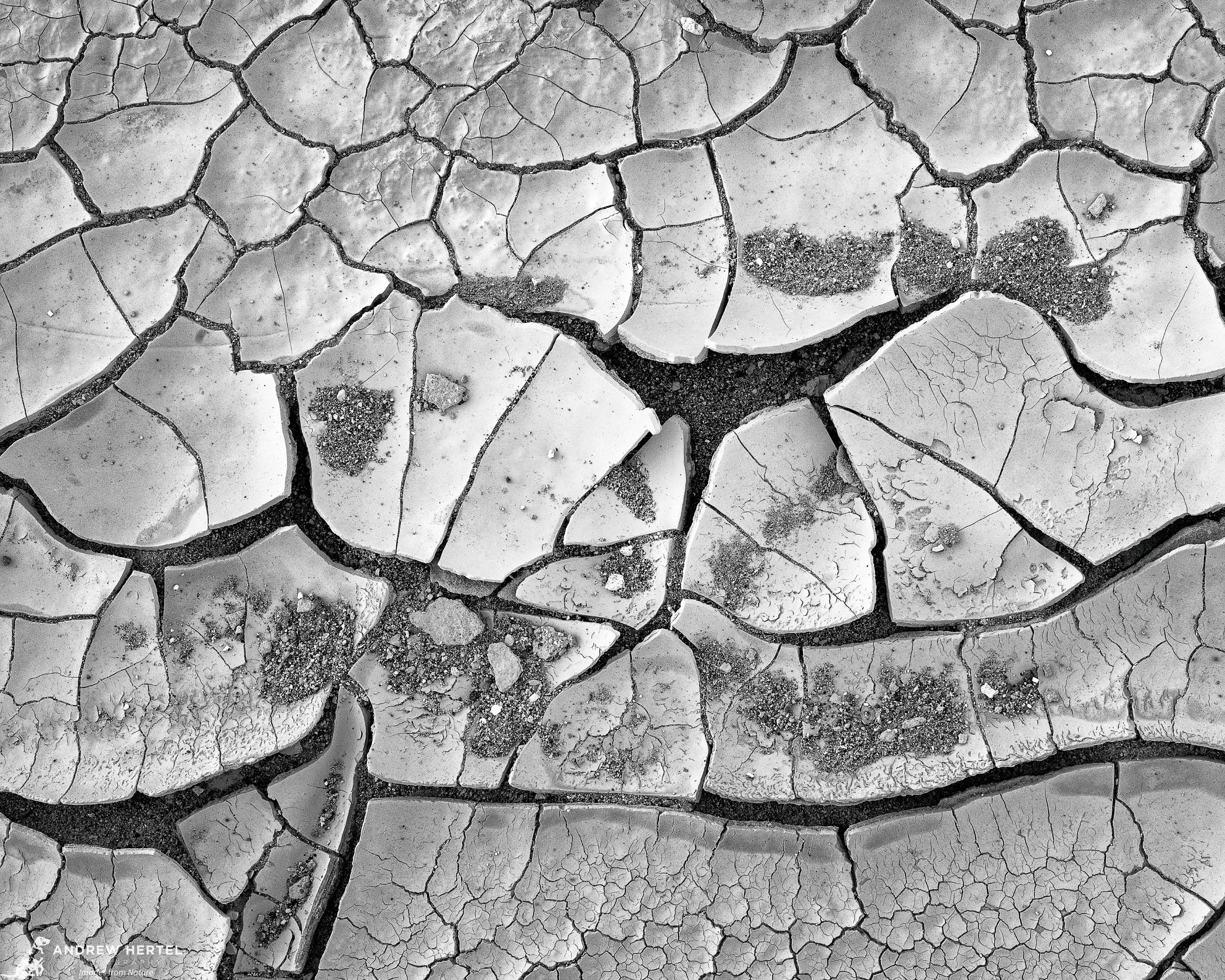 Mudcrack Meditations No. 2 | Death Valley National Park