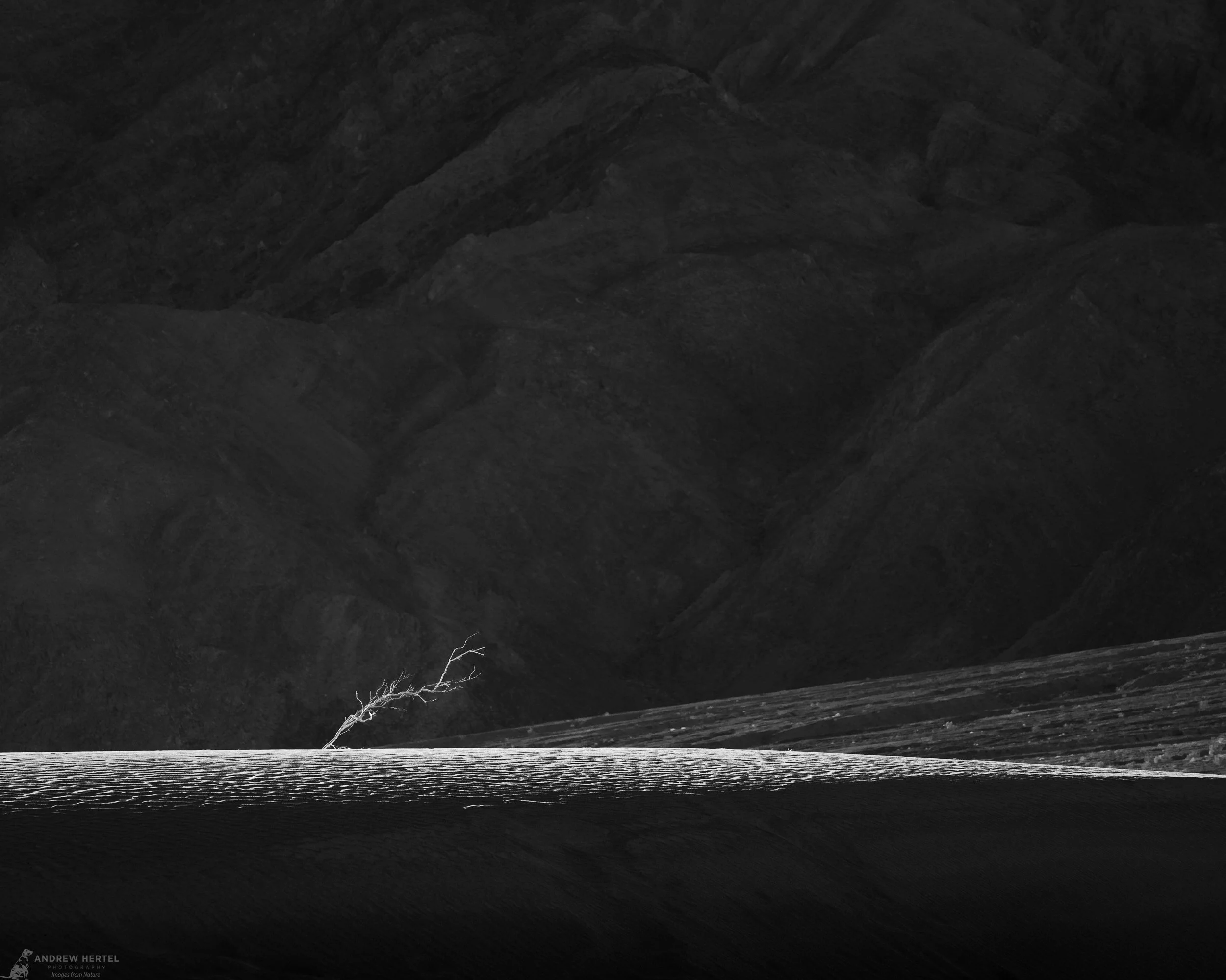 When the Light Turns Harsh