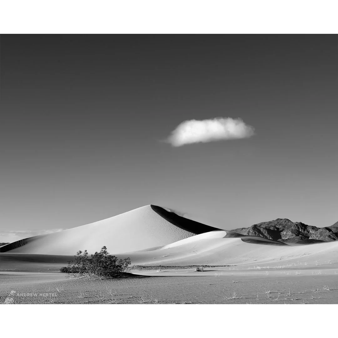 Desert Whispers