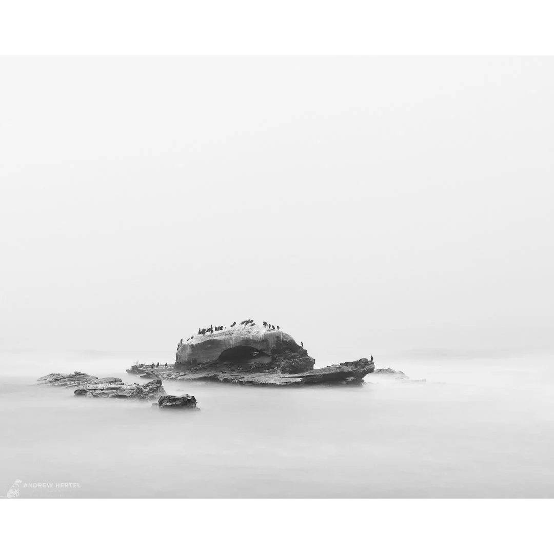 Morning Mist at Bird Rock