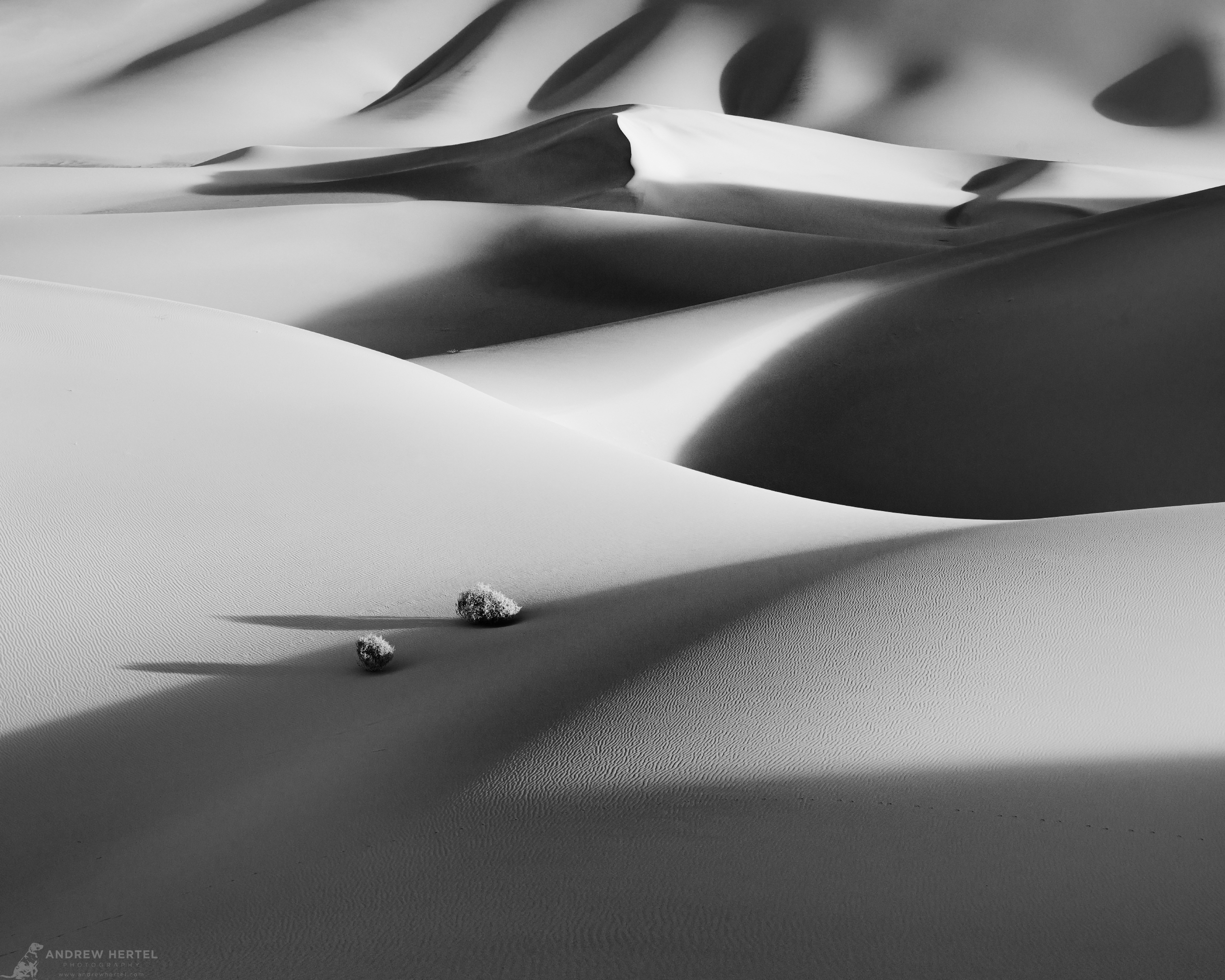 Black and white fine art photograph of sand dunes at Ibex Dunes in Death Valley National Park.