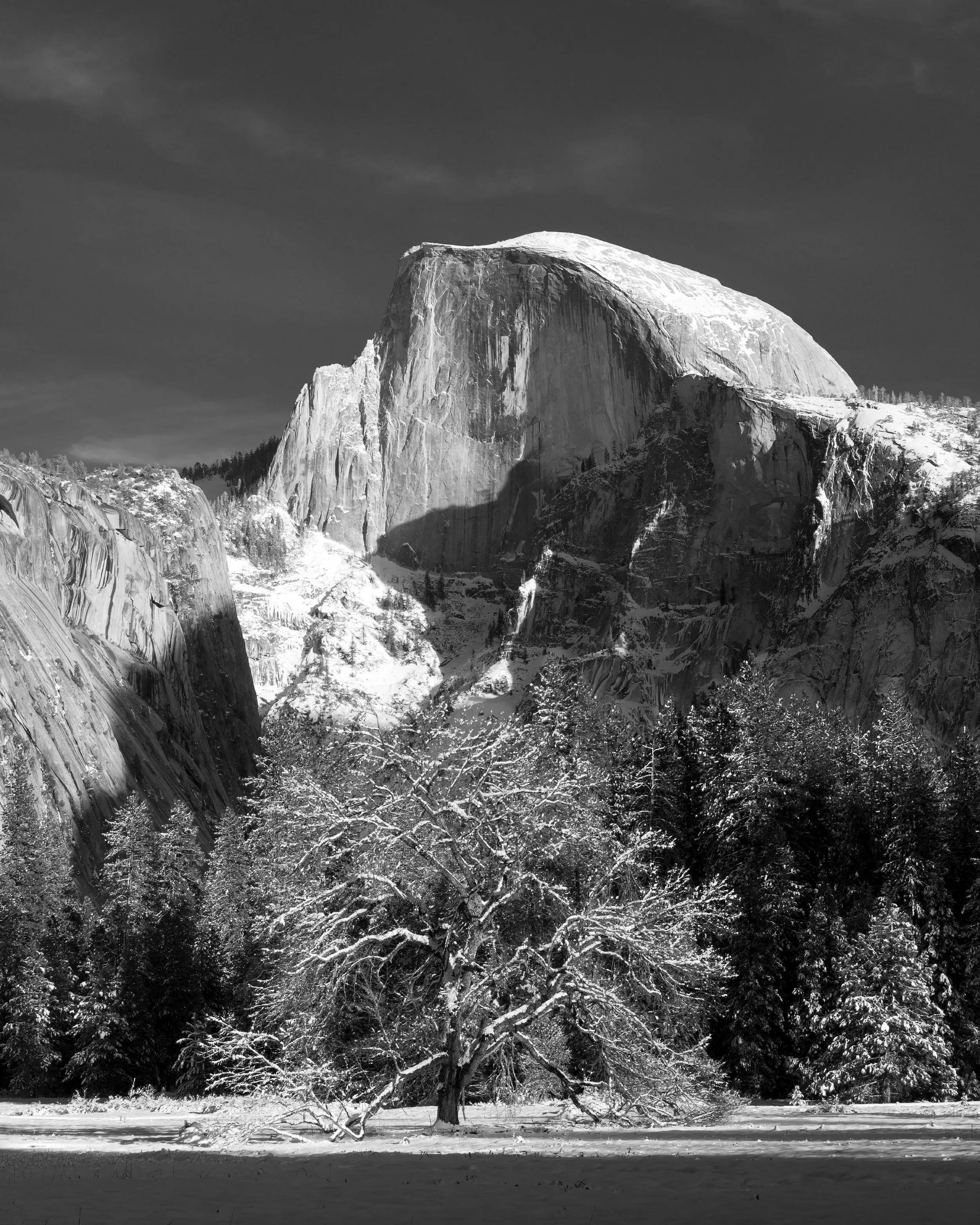 Elm, Half Dome & Winter Light | Yosemite NP
