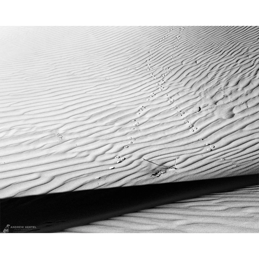 Traces of Life No. 2