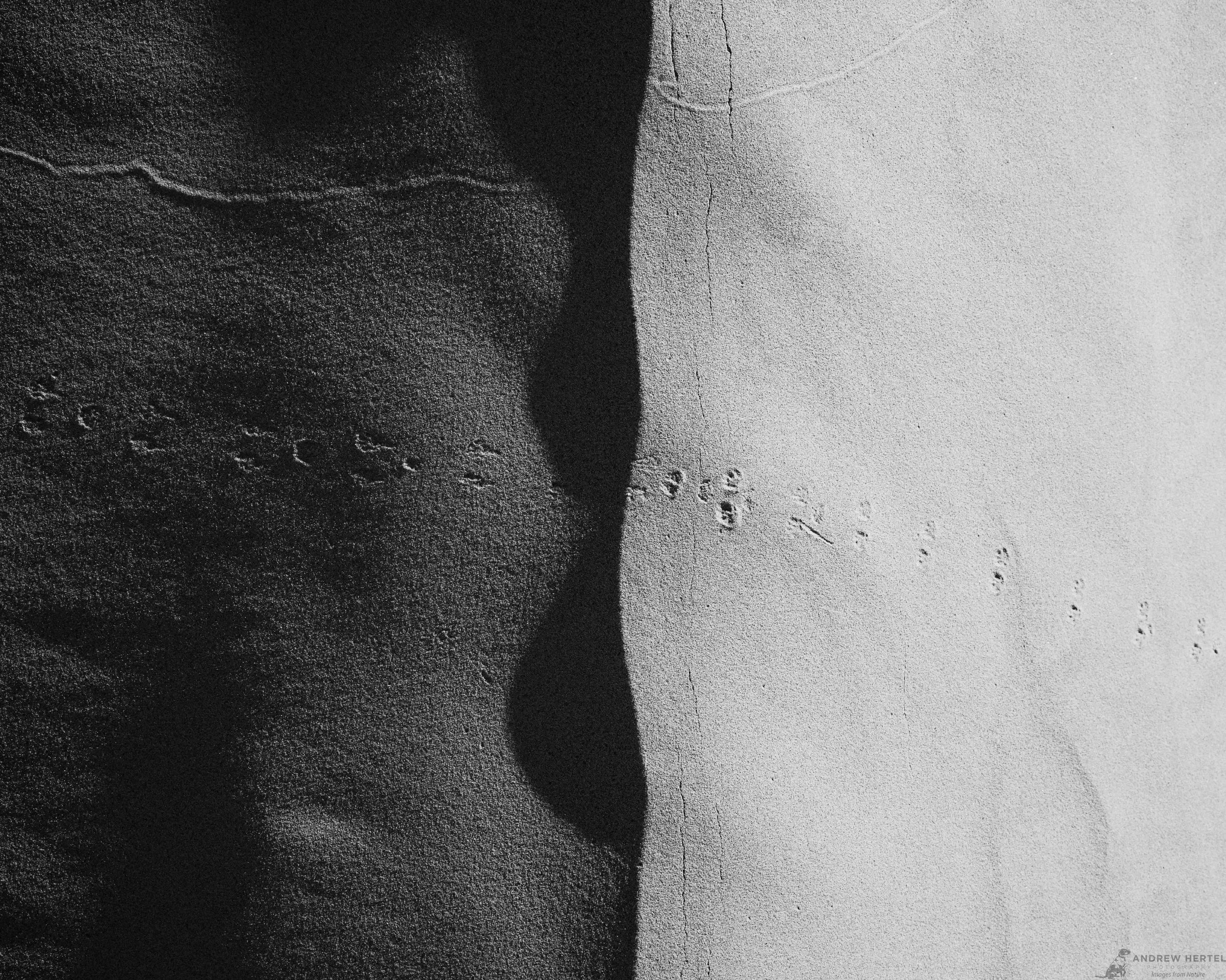 Traces of Life No. 3