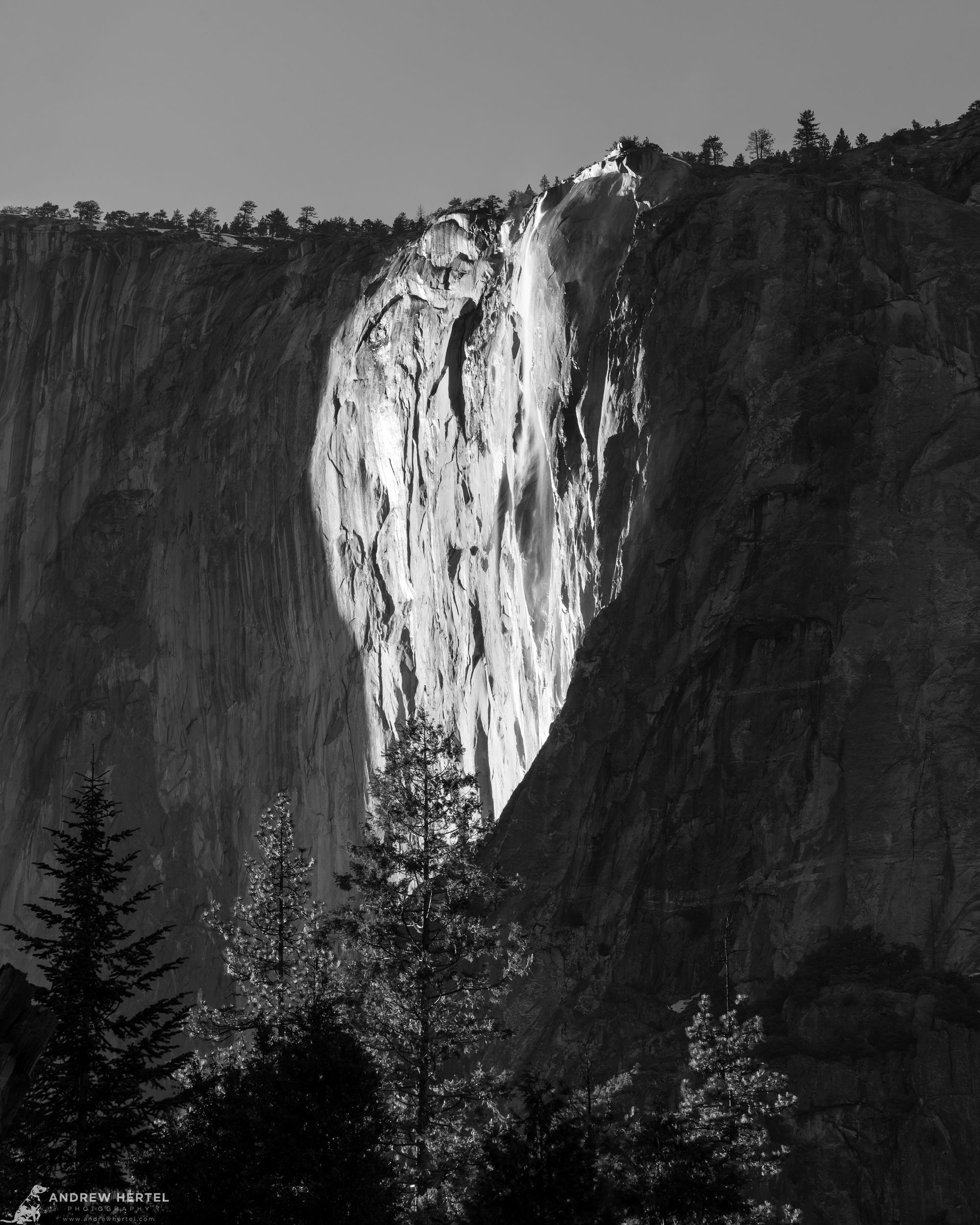 Yosemite-3541-Edit_2000x2500_U_100_Squarespace H.png