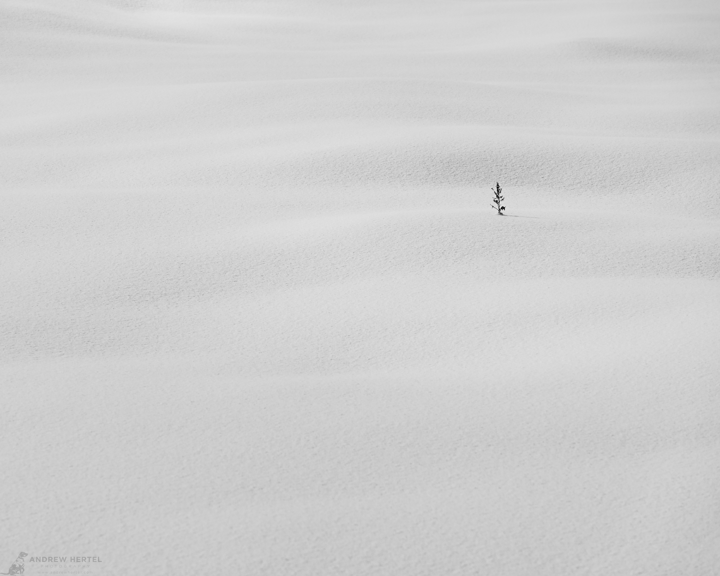 ~Hokkaido: Act XV - Rooted in Quiet~