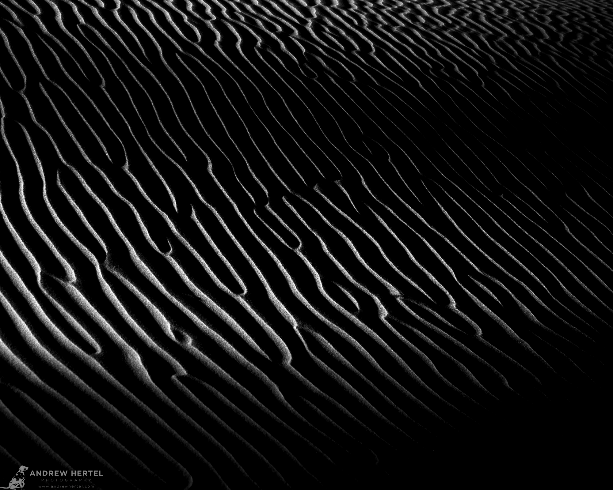 Abstract black and white nature photography by Andrew Hertel