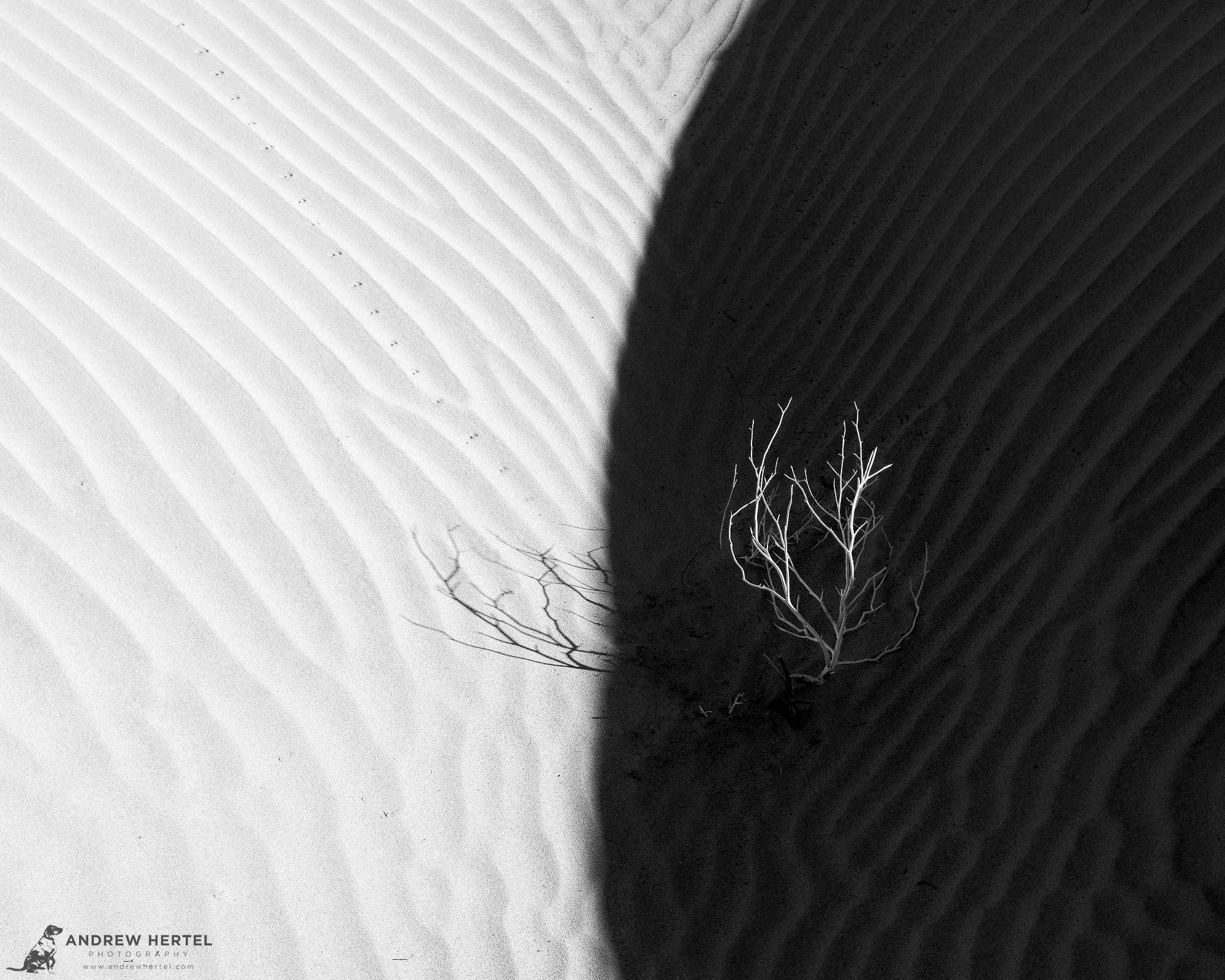 Black and white fine art photograph of sand dunes at Eureka Dunes in Death Valley National Park.
