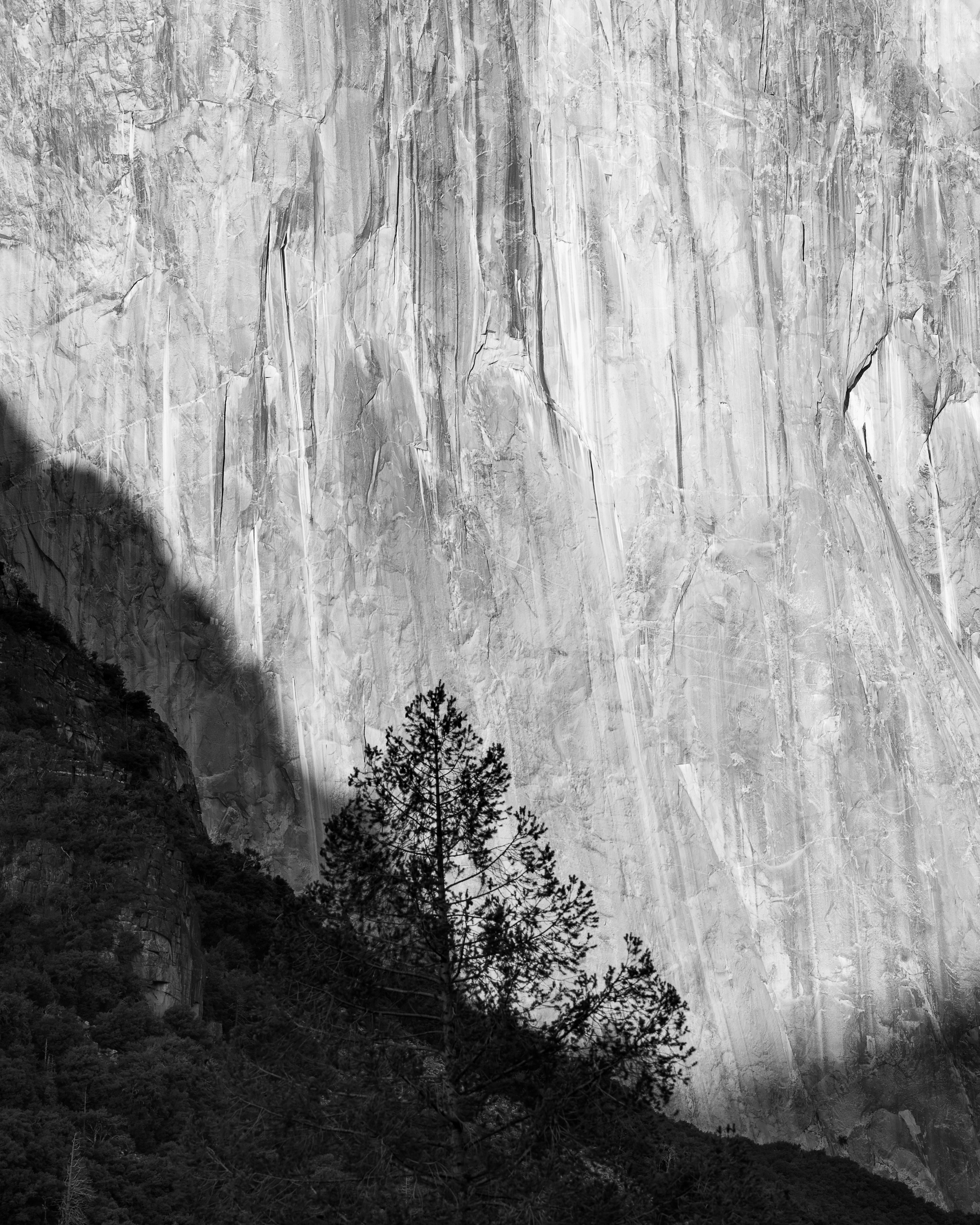 Yosemite in black and white