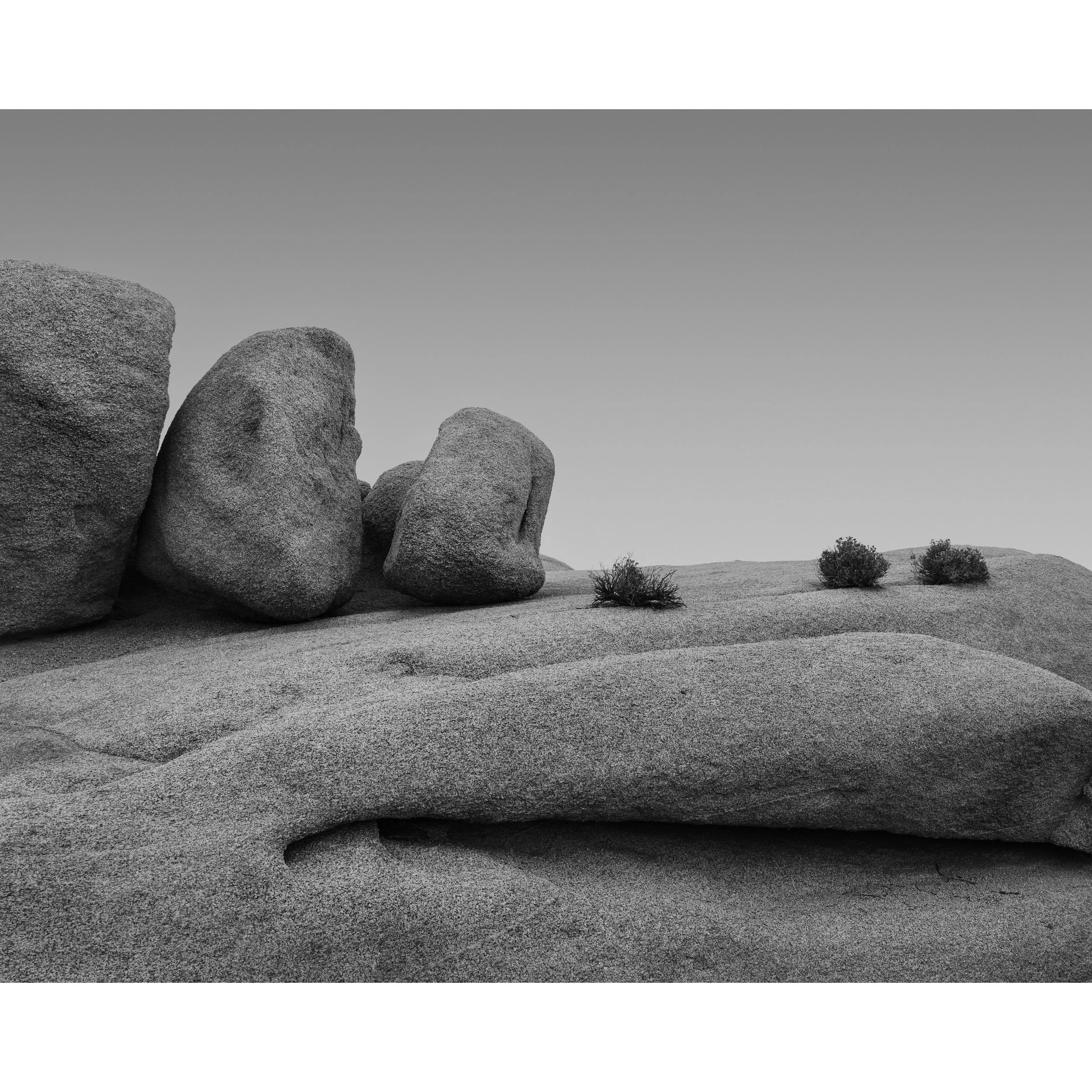 Andrew Hertel-Joshua Tree-0270-Working-2_1x1_3840x3840_U_100.jpg