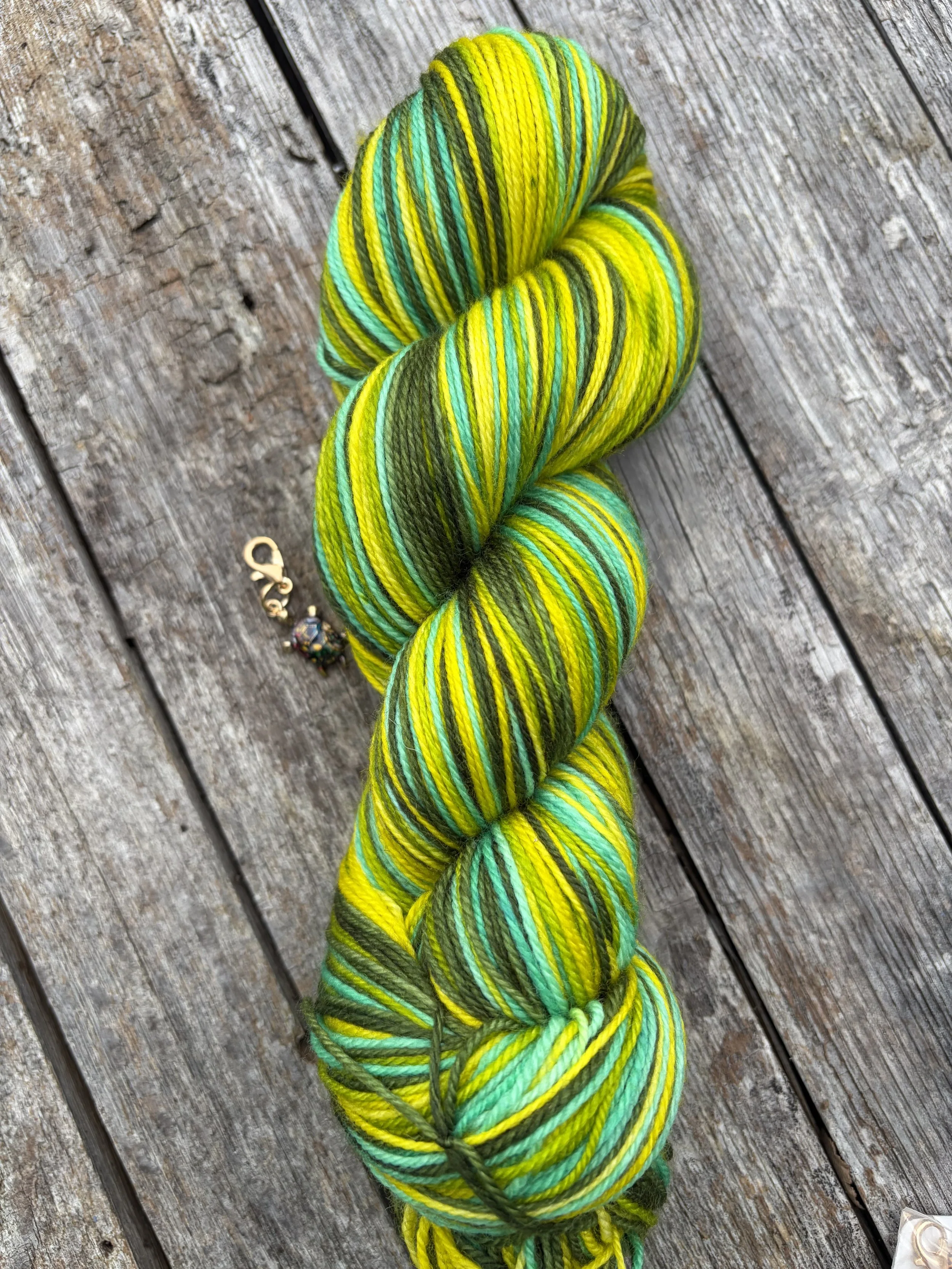 Daintree - June self striping sock of the month