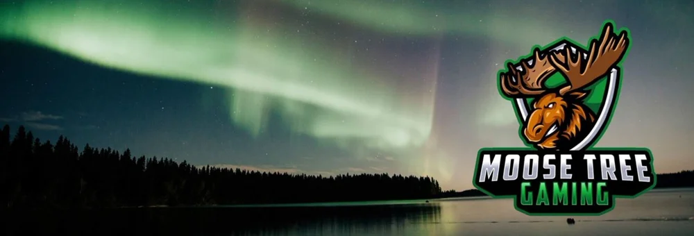  https://twitter.com/TreeFbgg/header_photo 