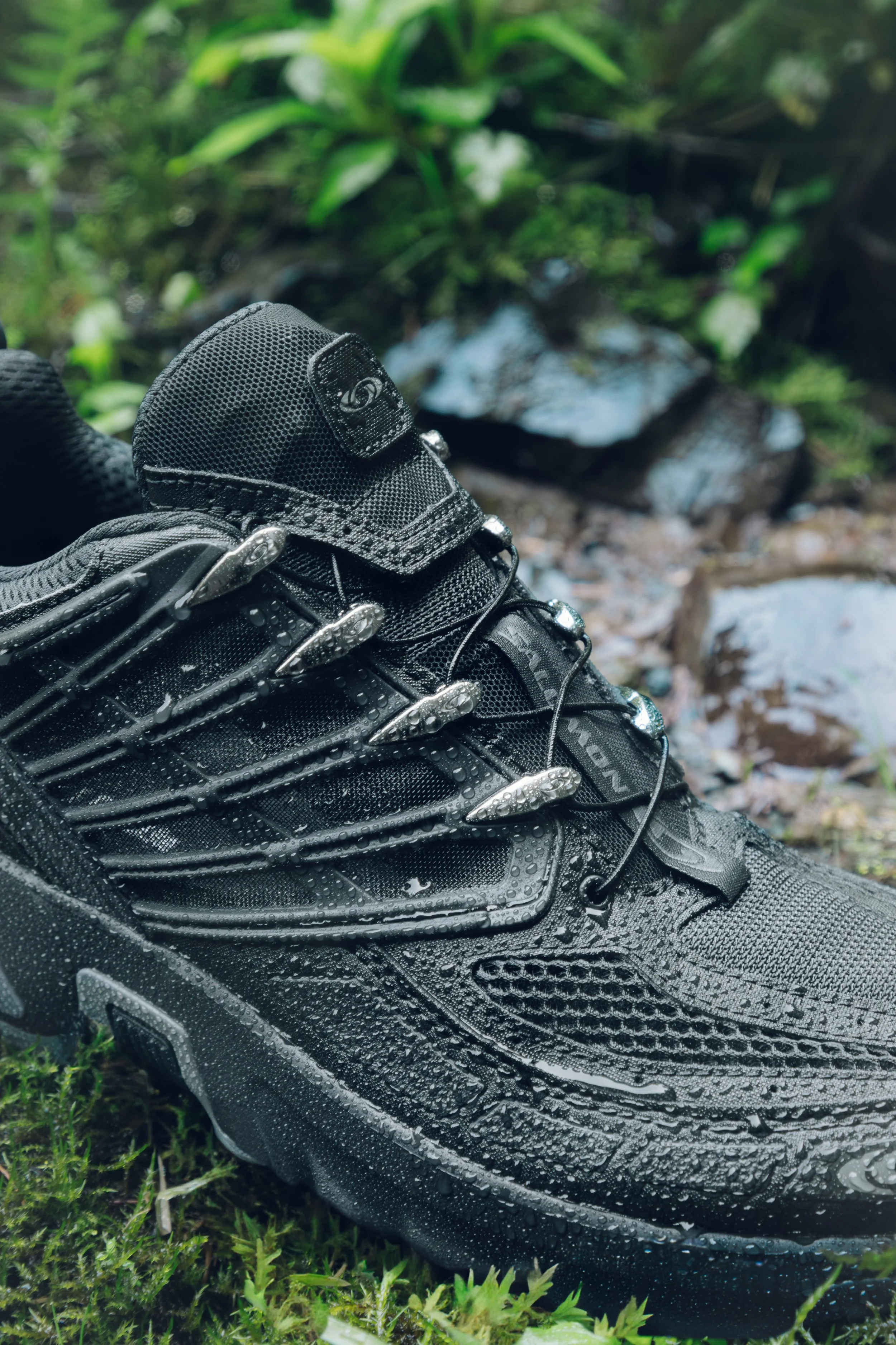 3M5A5599-4.jpg