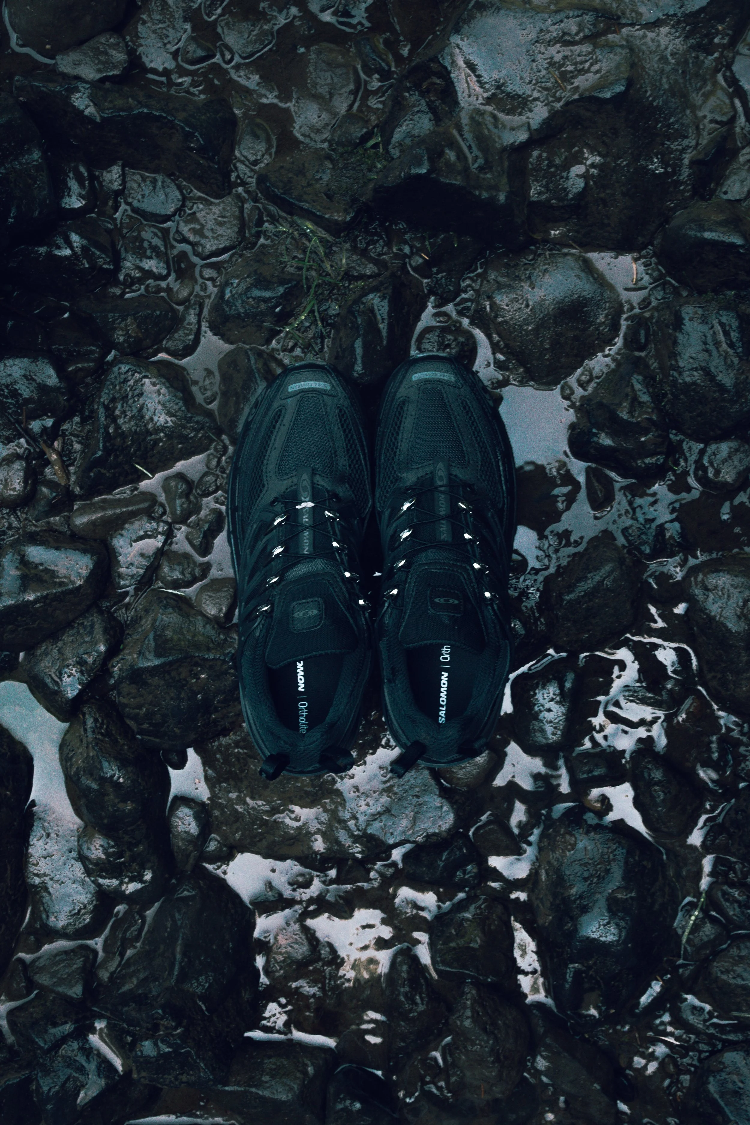3M5A5644.jpg