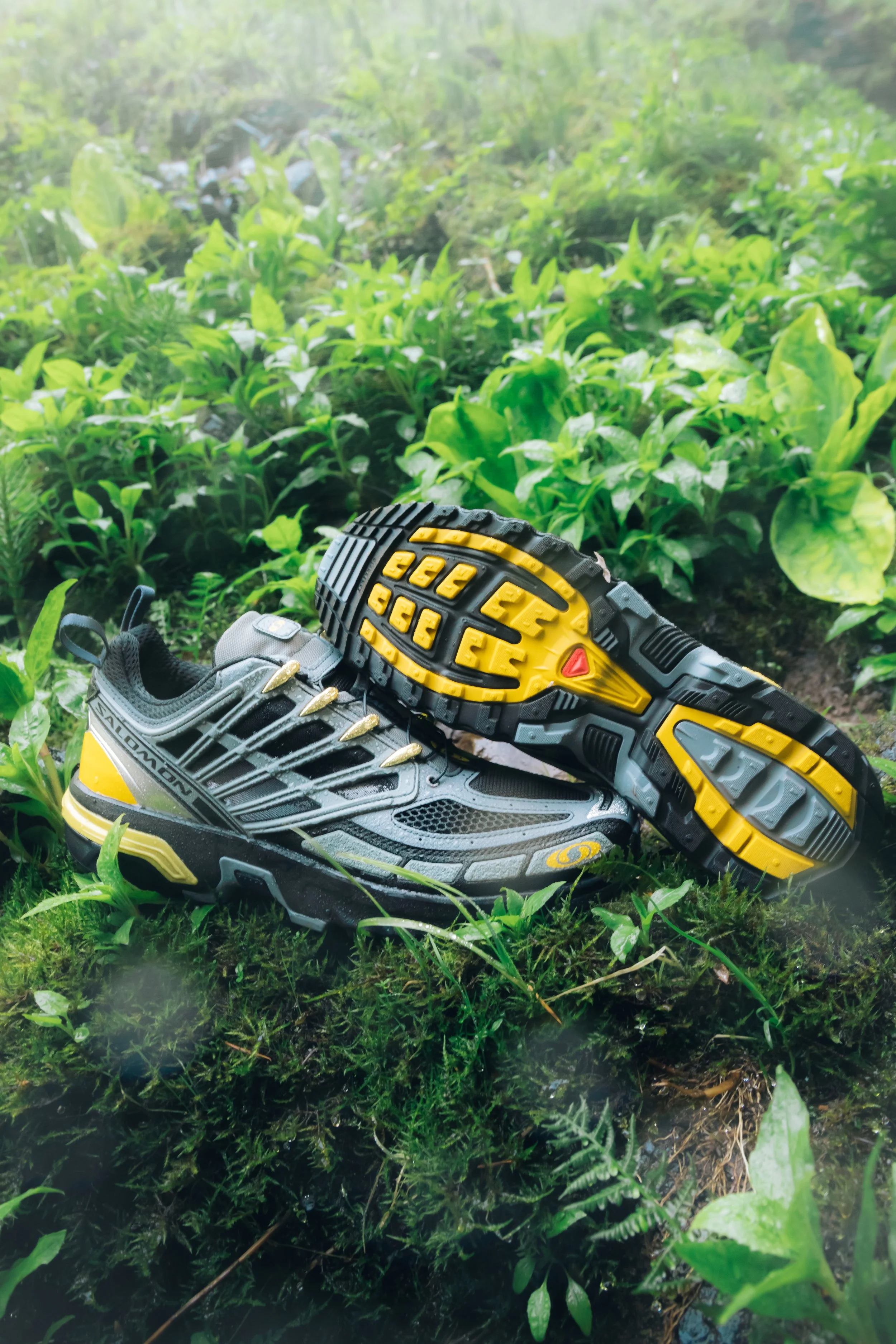 3M5A5593-3.jpg