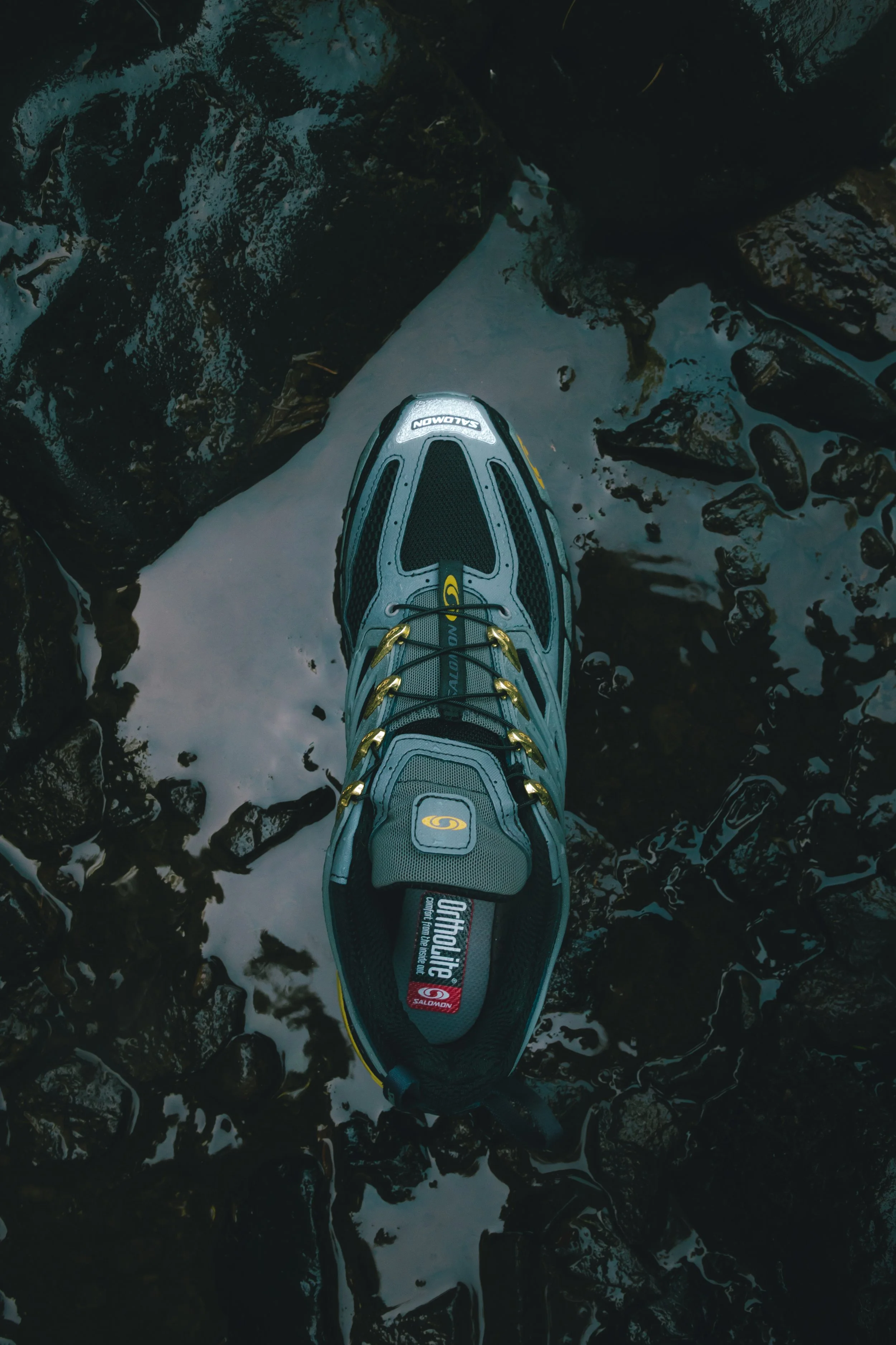 3M5A5619.jpg